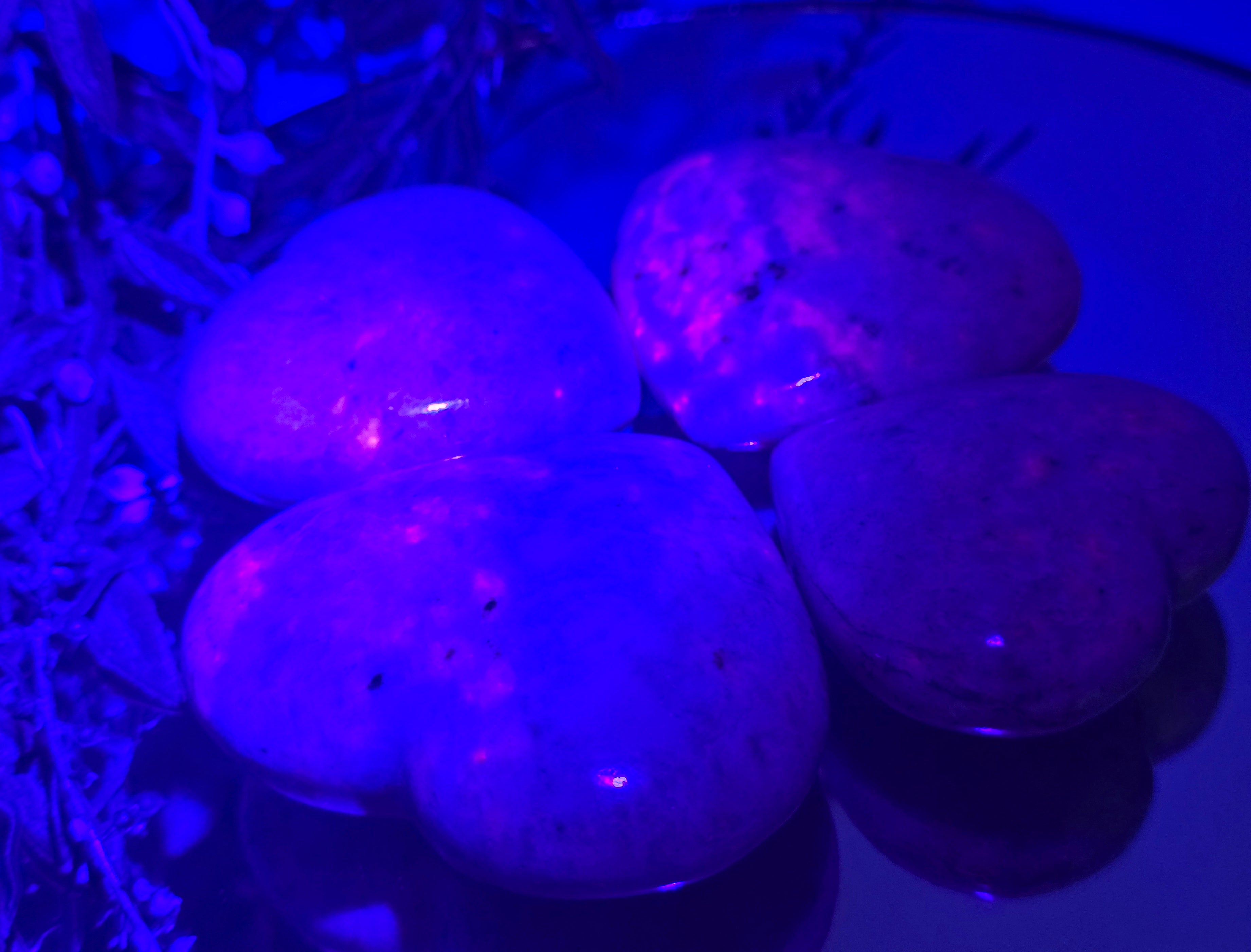 💜 Hackmanite Heart – Stone of Transformation, Inner Magic & Self-Discovery Crystal Wellness