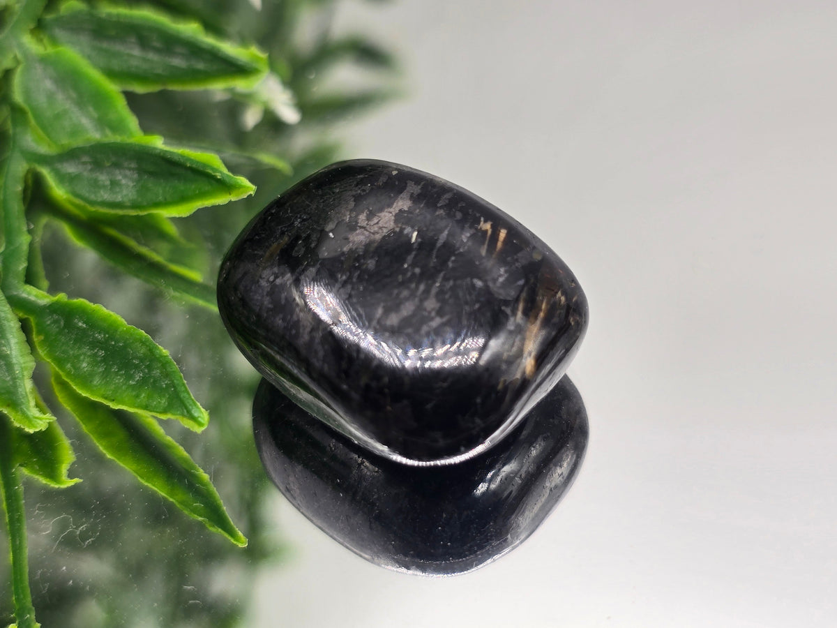 Genuine Nuumite Tumbled Stone (Stone of Ancient Protection & Personal Power) Crystal Wellness