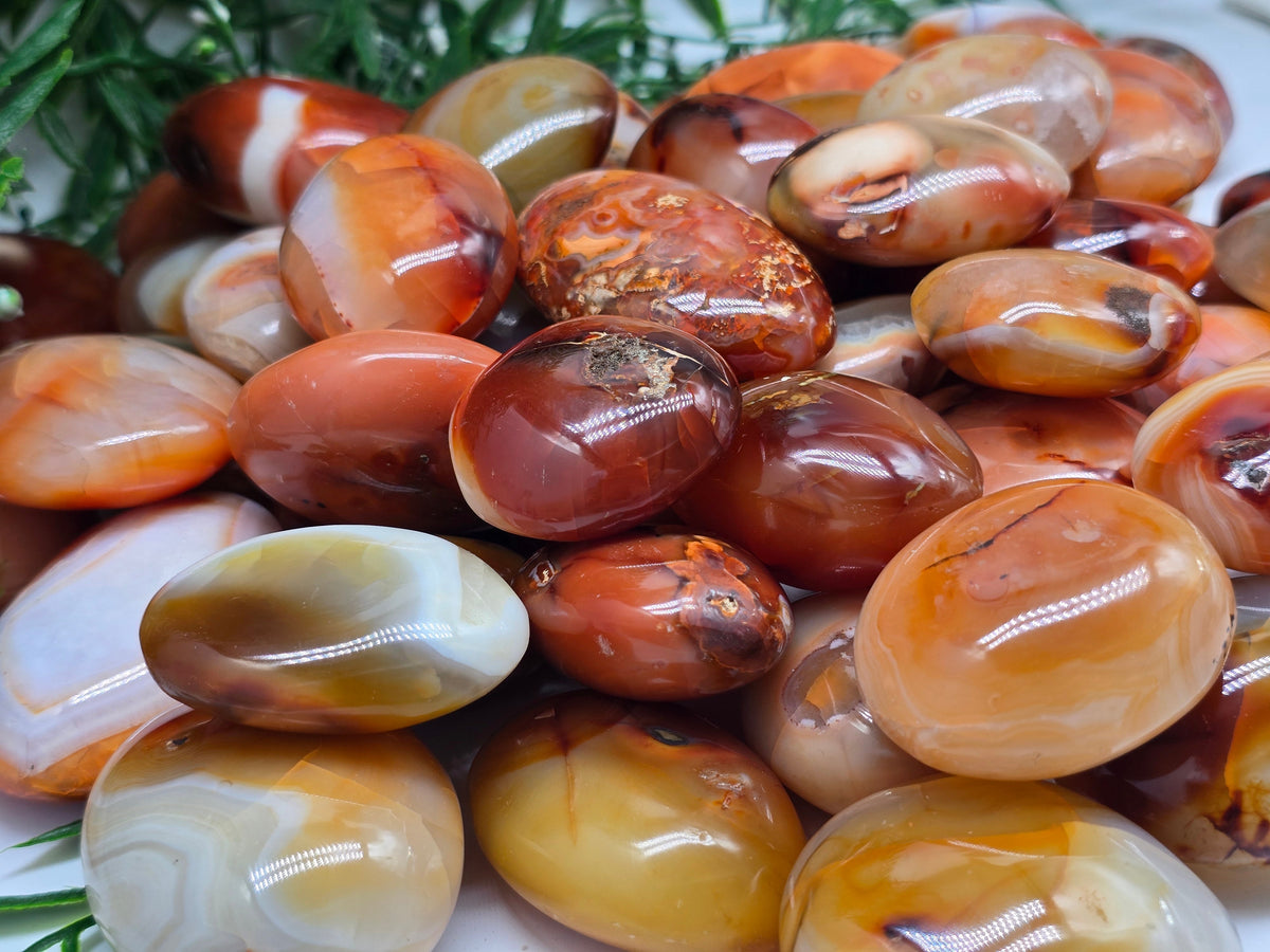 Premium Madagascar Carnelian Palmstone — Stone of Vitality, Courage & Motivation Crystal Wellness