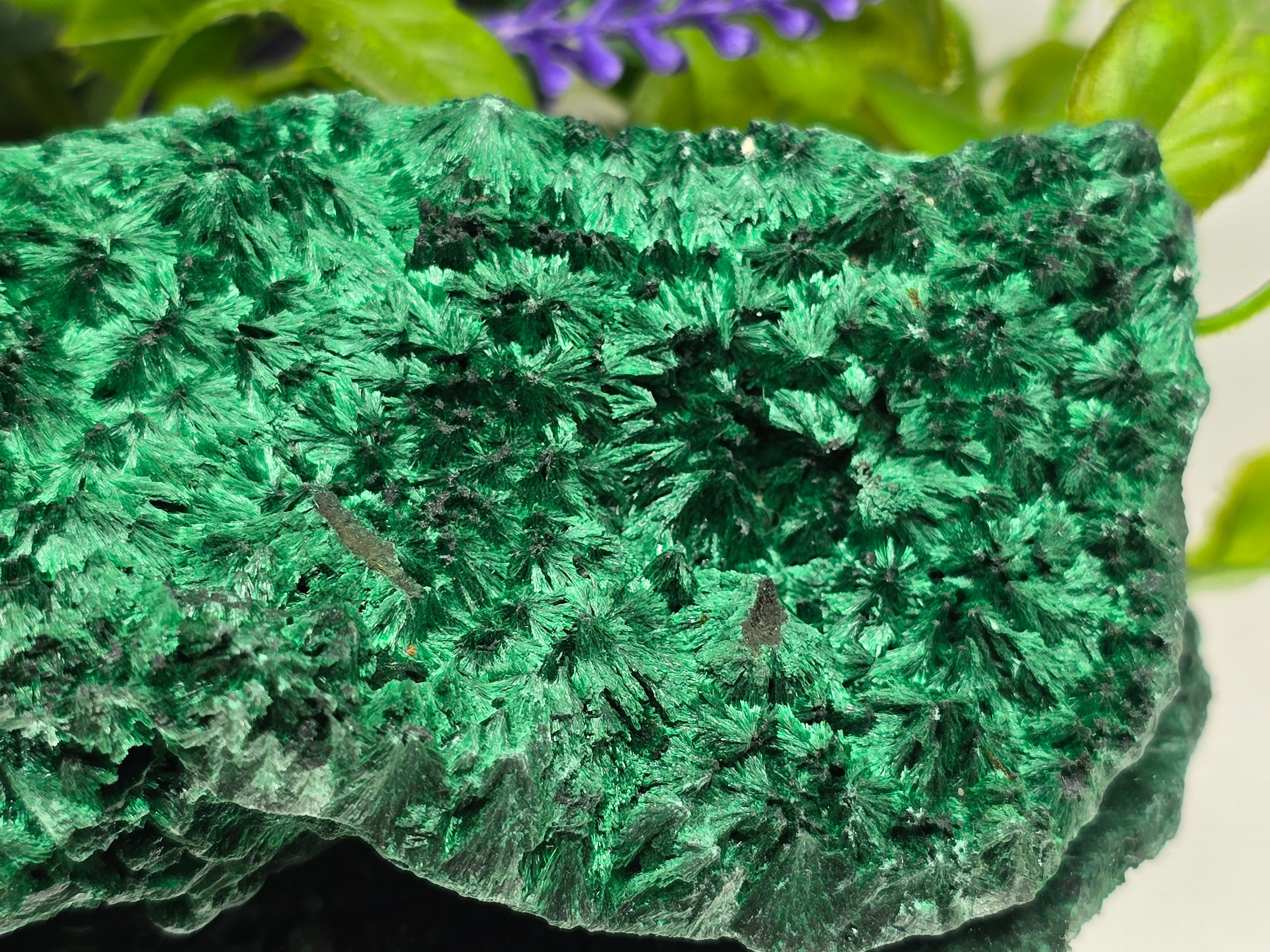 Fibrous Malachite Specimen 415g (Stone of Deep Transformation & Protection)