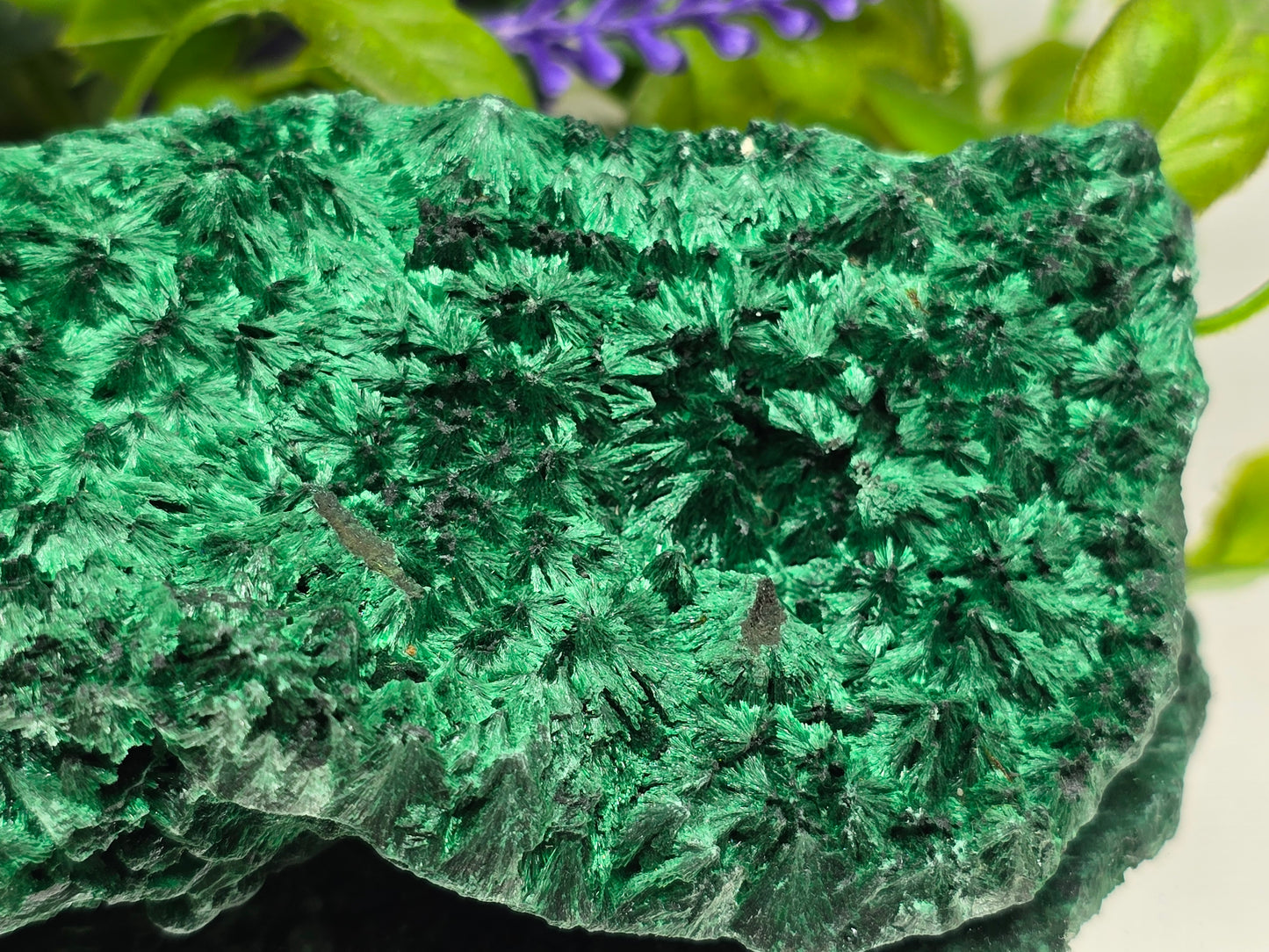 Fibrous Malachite Specimen 415g (Stone of Deep Transformation & Protection)