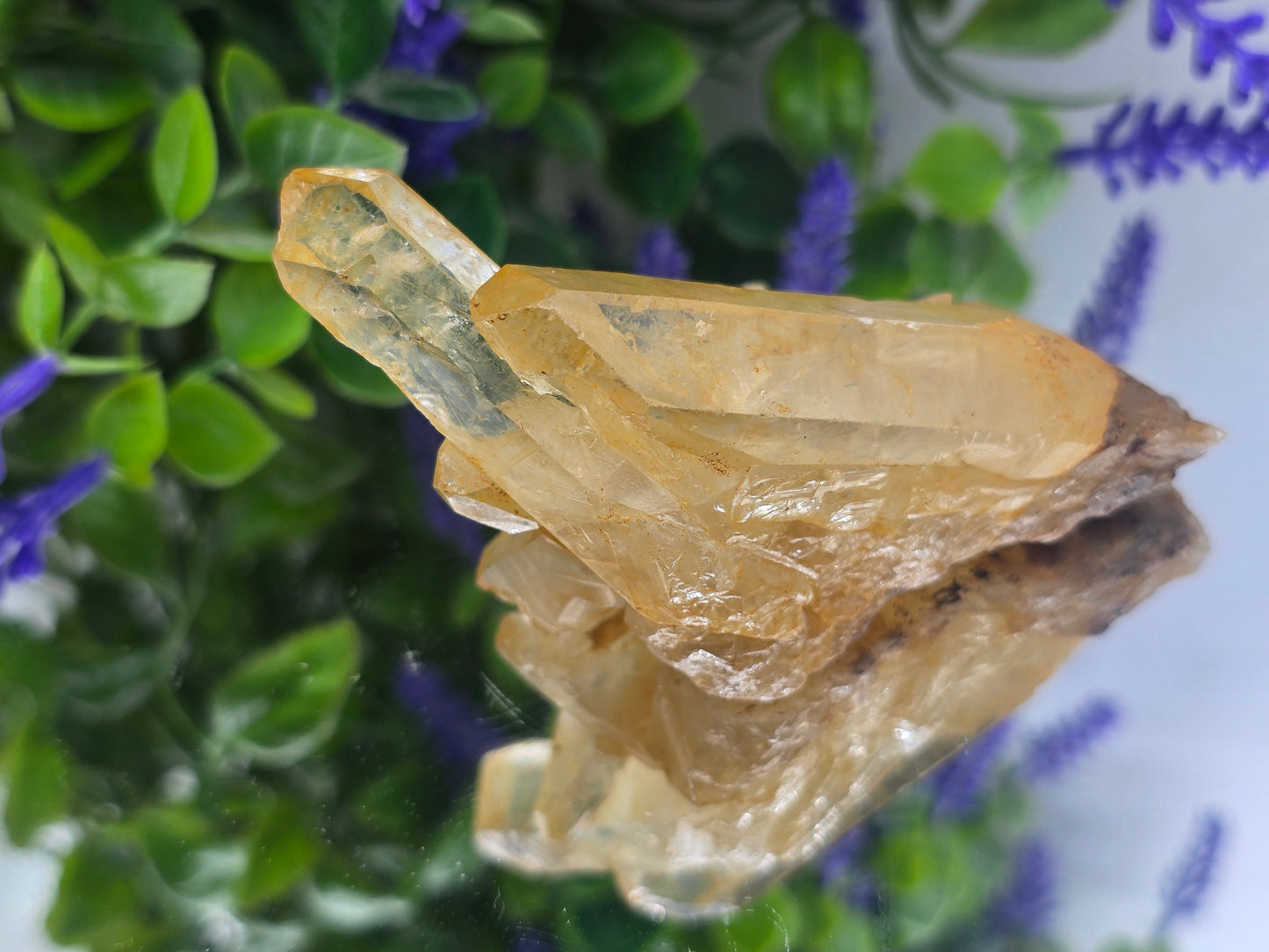 Natural Citrine Cluster – Stone of Abundance, Joy & Personal Empowerment Crystal Wellness