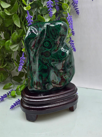 Premium Malachite Freeform 1.4kgs 20x11x5cm – Stone of Transformation & Protection Crystal Wellness