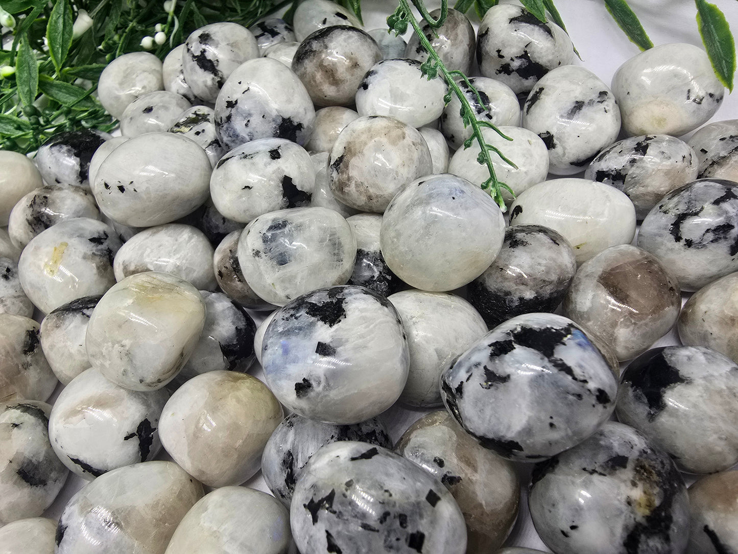 Moonstone Tumbled Stone Crystal Wellness