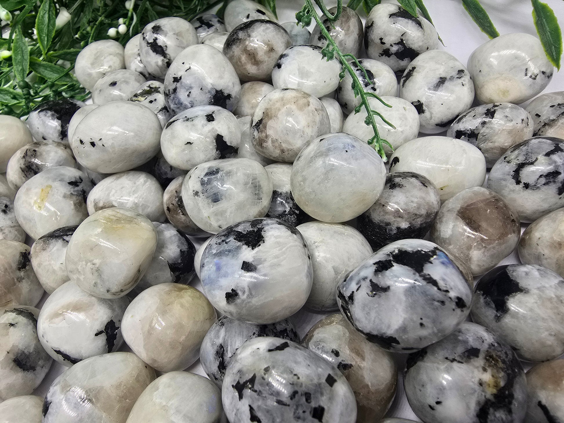Moonstone Tumbled Stone Crystal Wellness