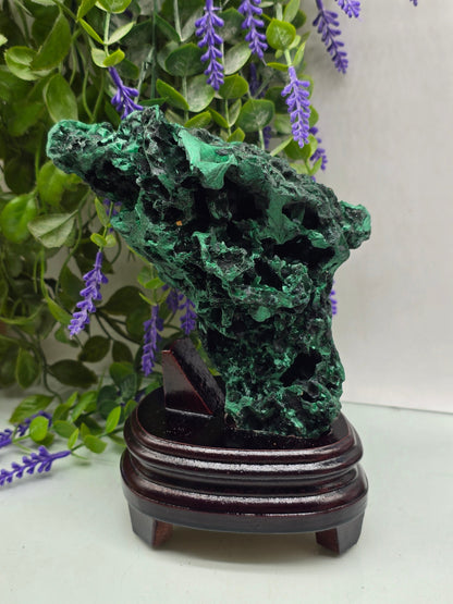 Luxury High-Grade Fibrous Malachite Freeform Display Specimen – Stone of Transformation & Empowered Growth Crystal Wellness