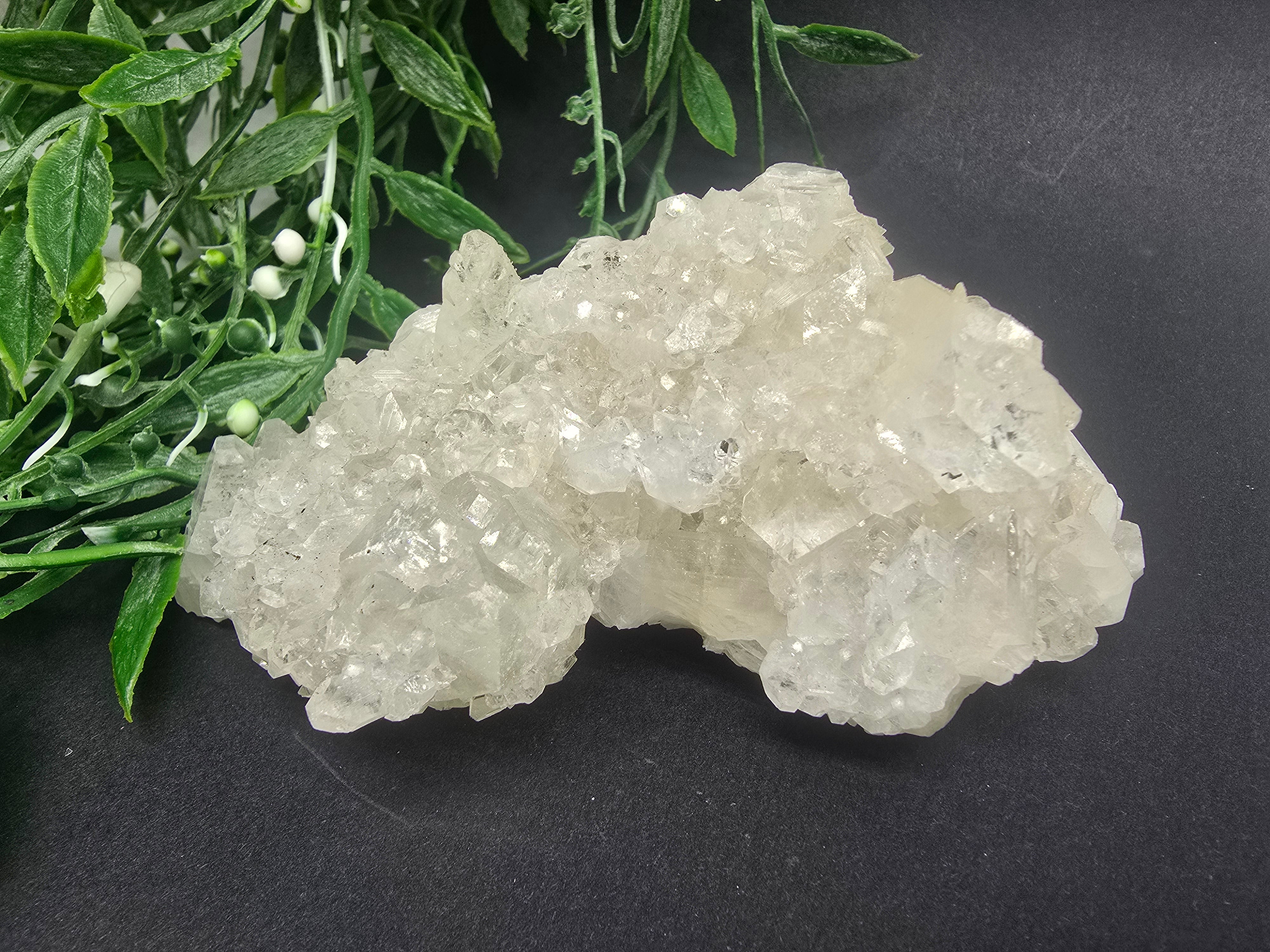 Apophyllite #8 Crystal Wellness