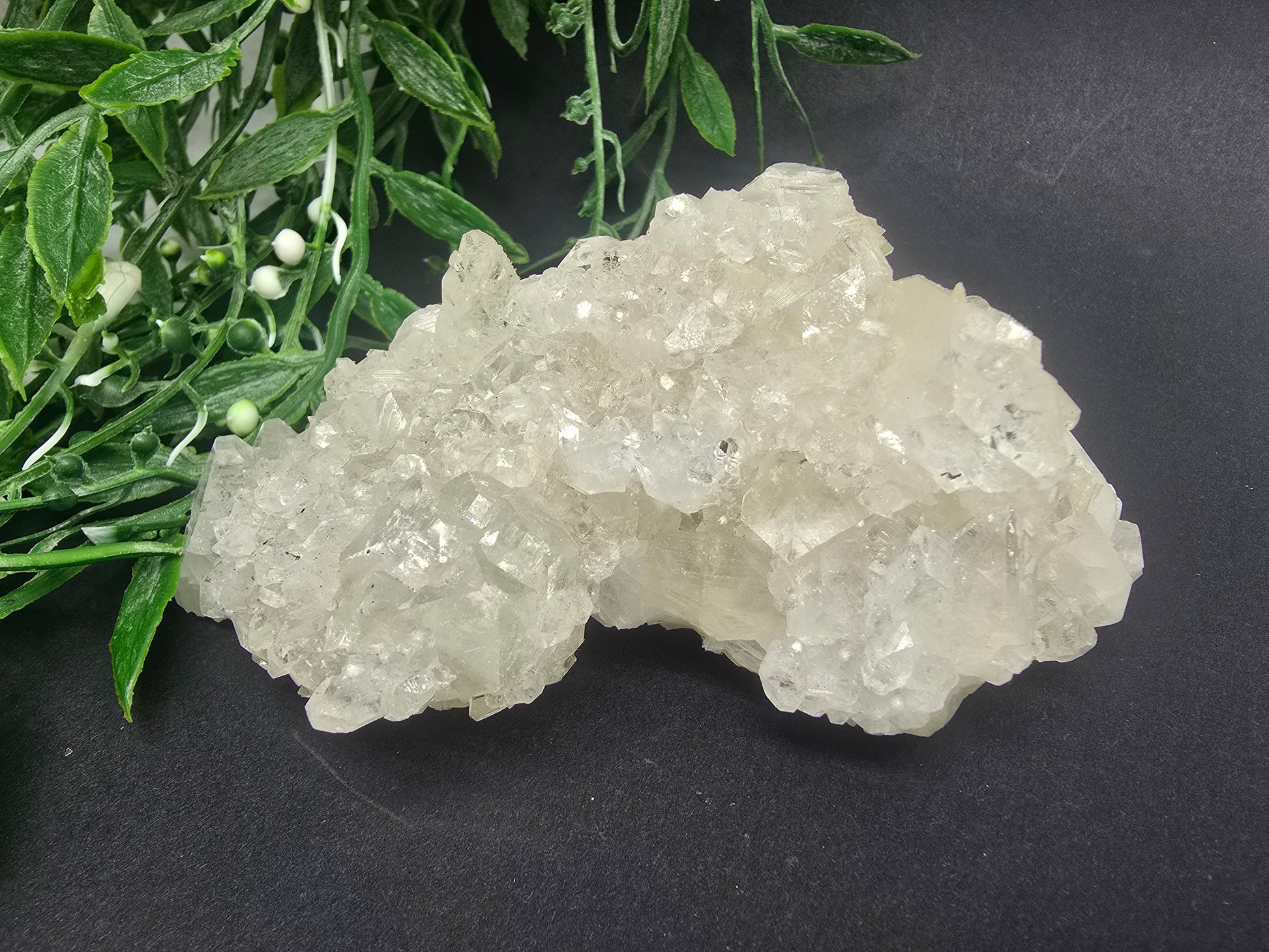Apophyllite #8 Crystal Wellness