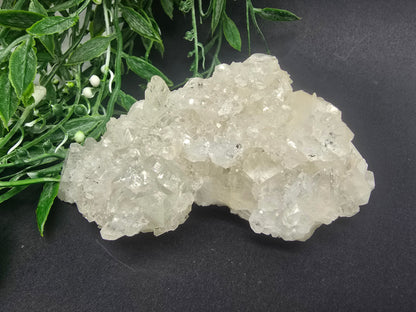 Apophyllite #8 Crystal Wellness