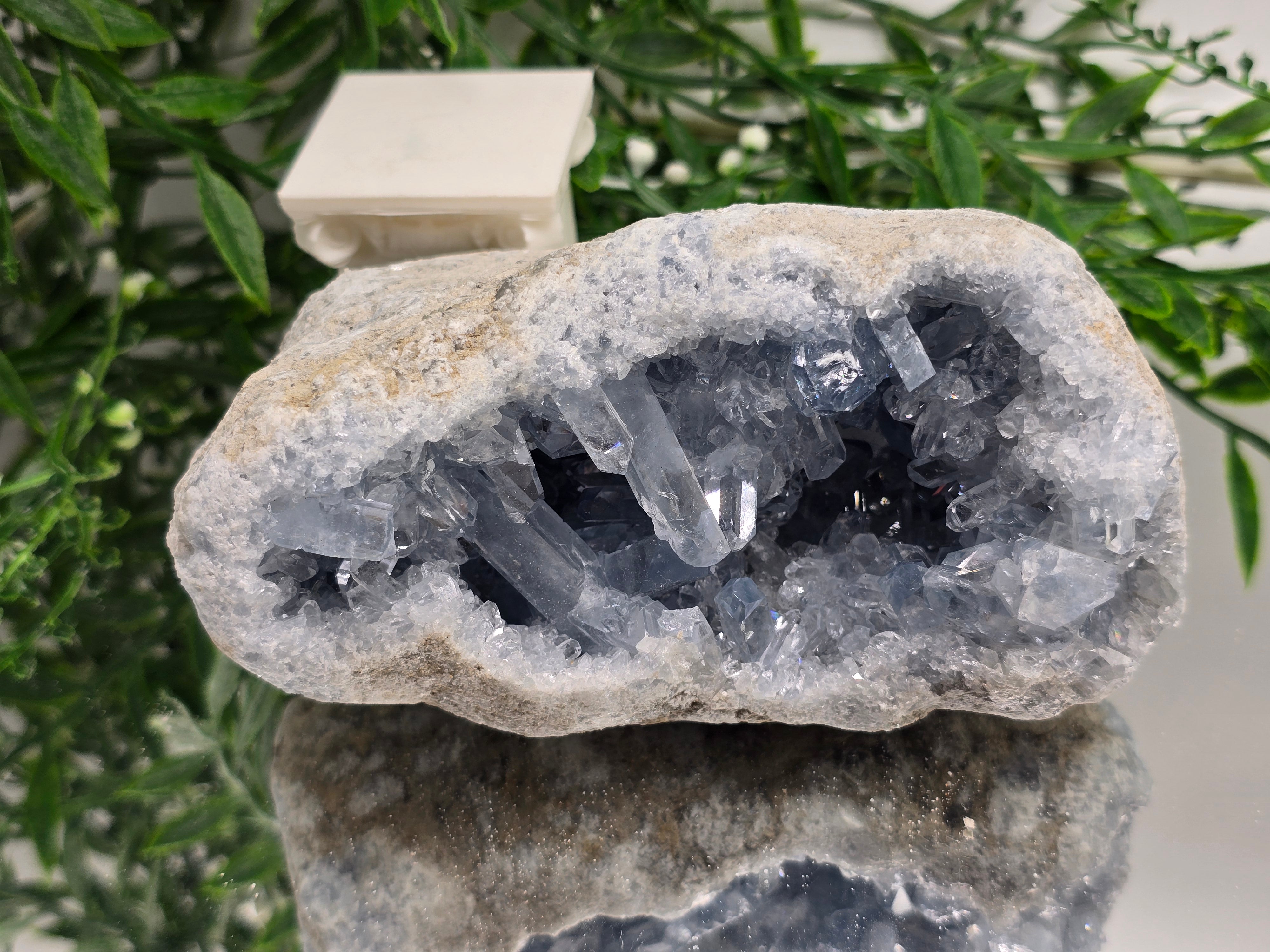 Celestial Harmony Celestite Geode – Natural Sky Blue Crystal Cave 1kg 14x7x7cm Crystal Wellness