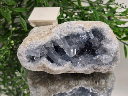 Celestial Harmony Celestite Geode – Natural Sky Blue Crystal Cave 1kg 14x7x7cm Crystal Wellness