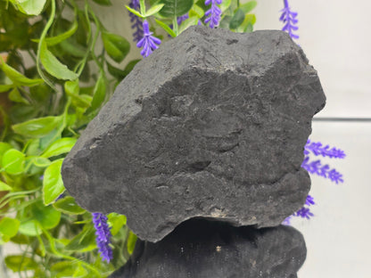 Raw Shungite — Stone of Grounding & Protection | 1.3kgs Crystal Wellness