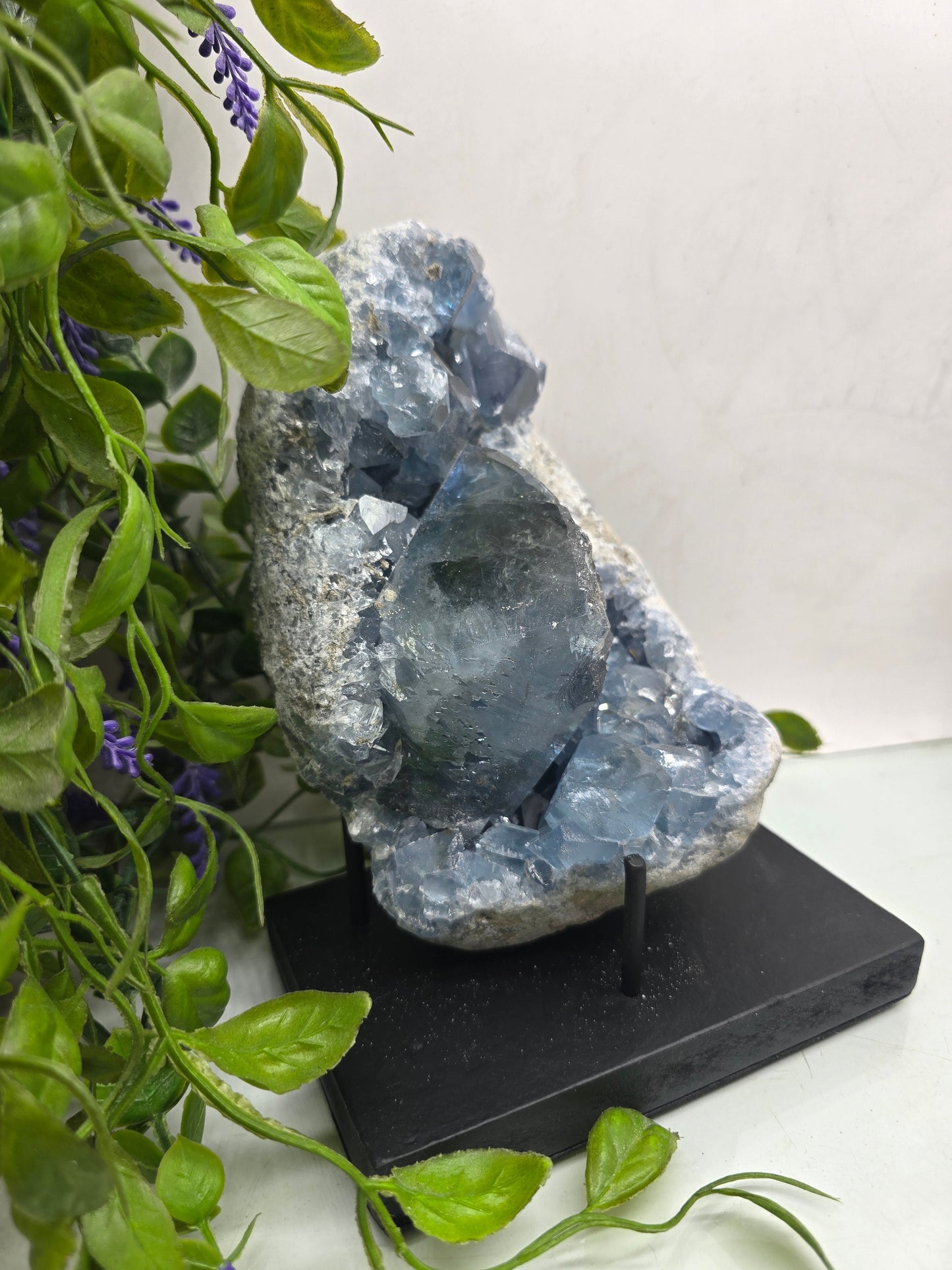 Celestite Geode Cluster 3kgs 19x14x10cm Premium Quality (Stone of Divine Peace & Angelic Connection) Crystal Wellness