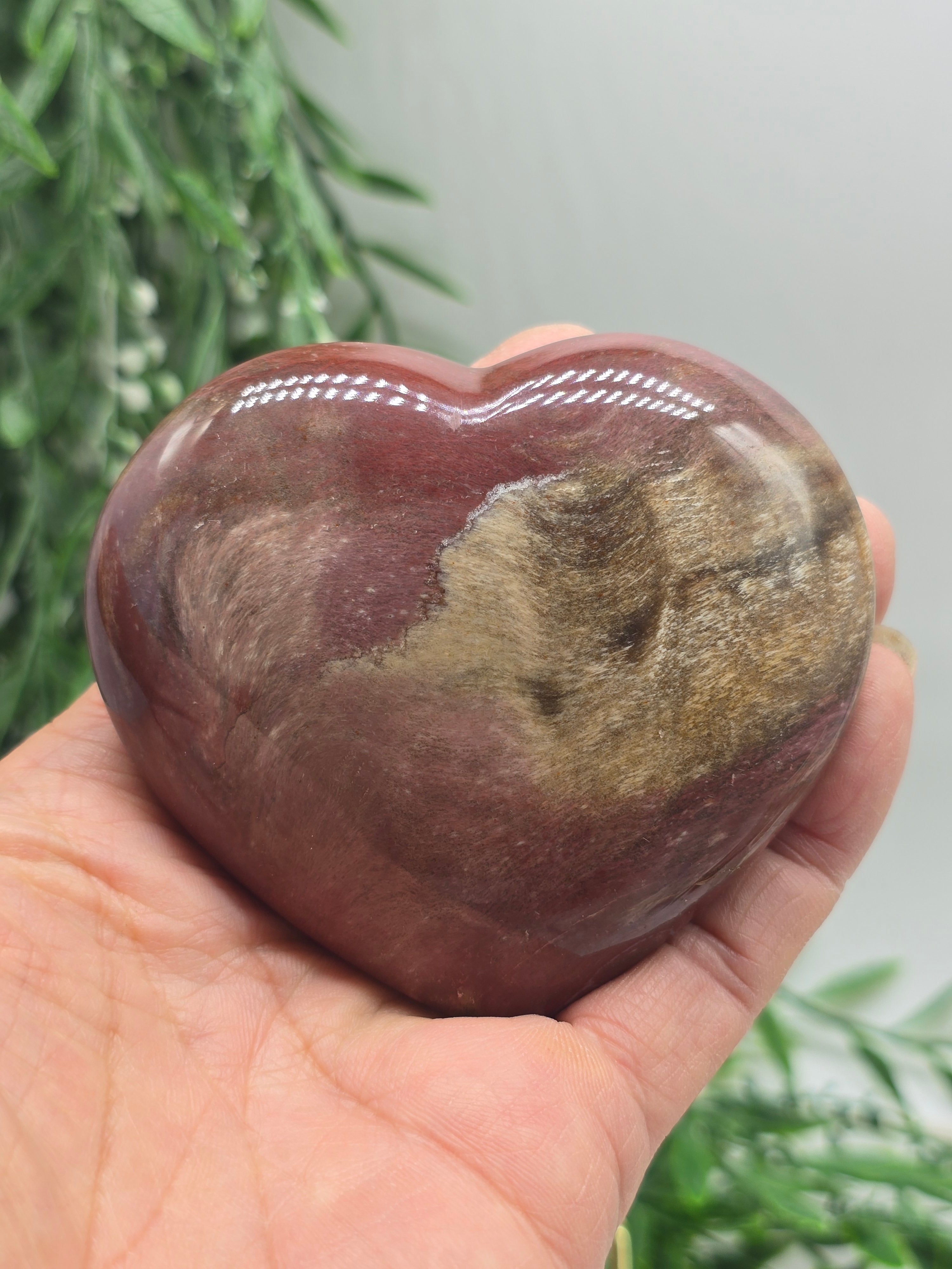 Petrified Wood Heart – Madagascar | 254g (Stand Included) Crystal Wellness