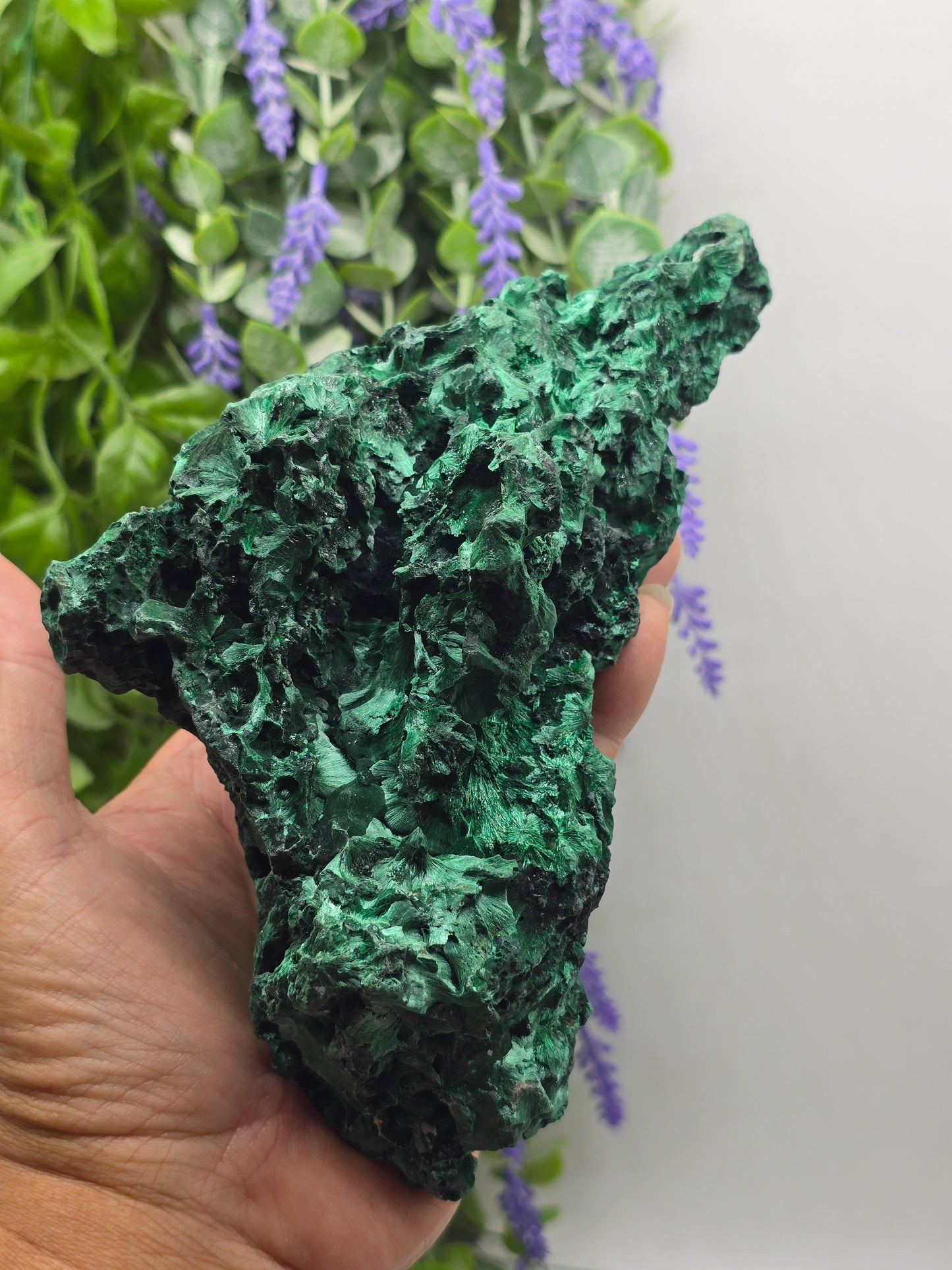 Luxury High-Grade Fibrous Malachite Freeform Display Specimen – Stone of Transformation & Empowered Growth Crystal Wellness