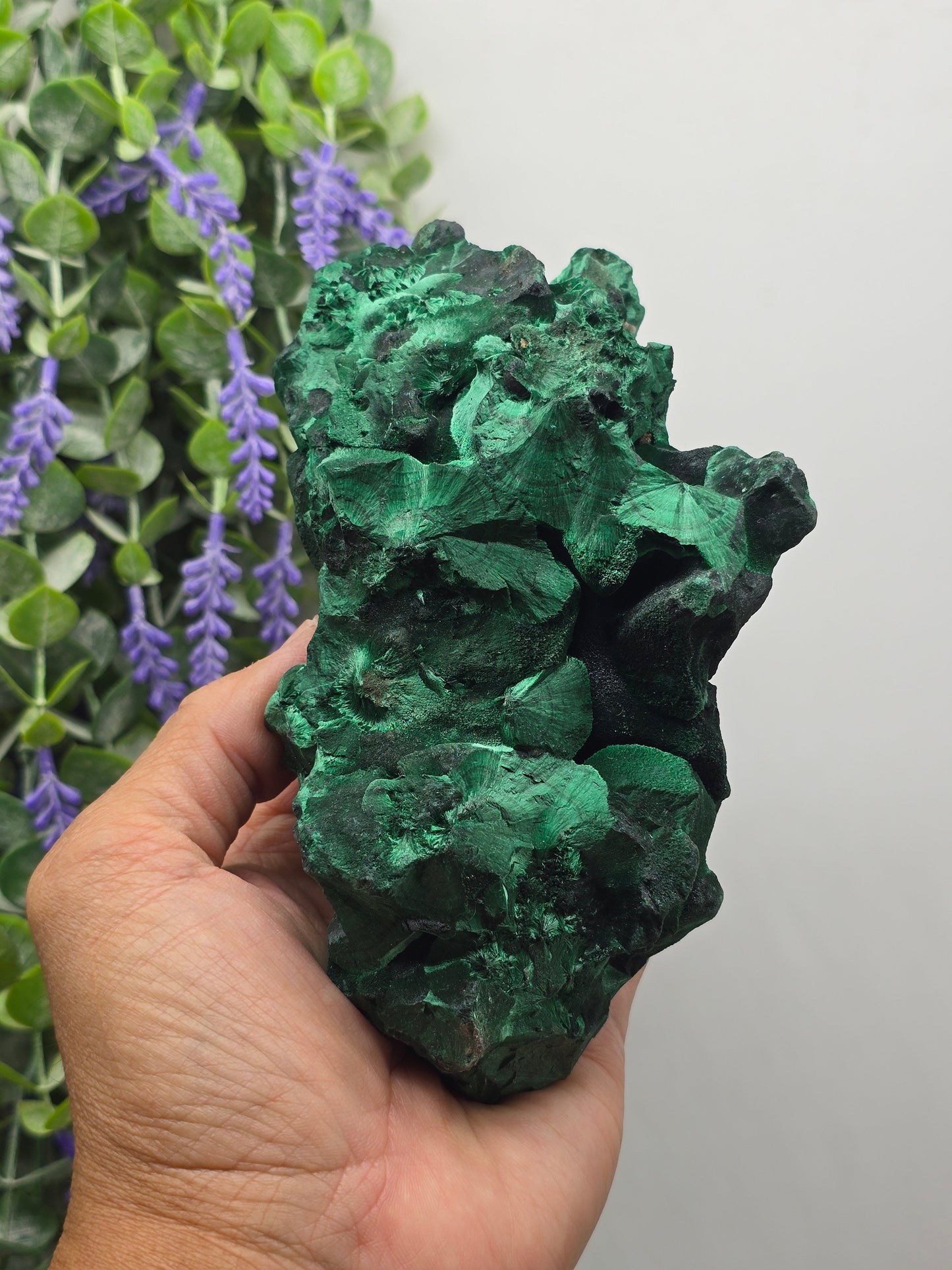 Malachite Polished Freeform Crystal Wellness