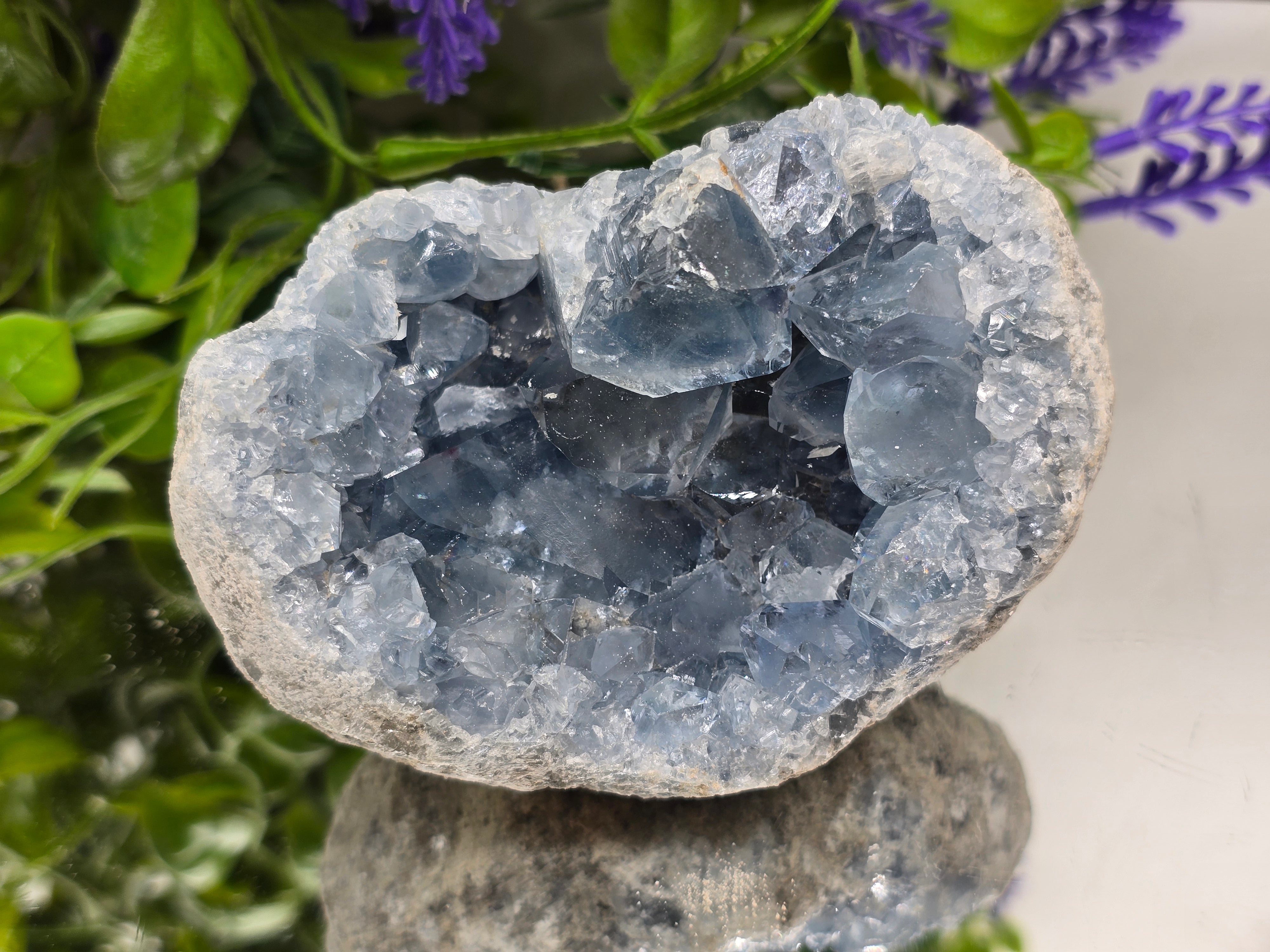 Celestite Geode — Stone of Divine Peace, Angelic Connection & Inner Calm | 625g Crystal Wellness