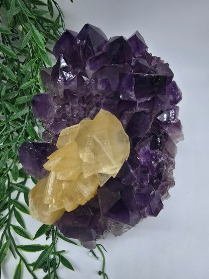 Yellow Calcite & Amethyst Crystal Fusion – Rare 3.5kg Collector’s Gem Crystal Wellness