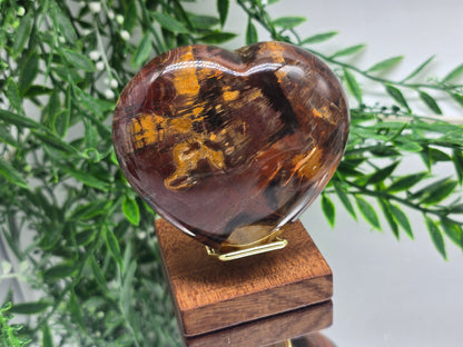Premium Grade Madagascar Petrified Wood Heart – Stone of Stability and Enduring Success | 481g (Stand Included) Crystal Wellness