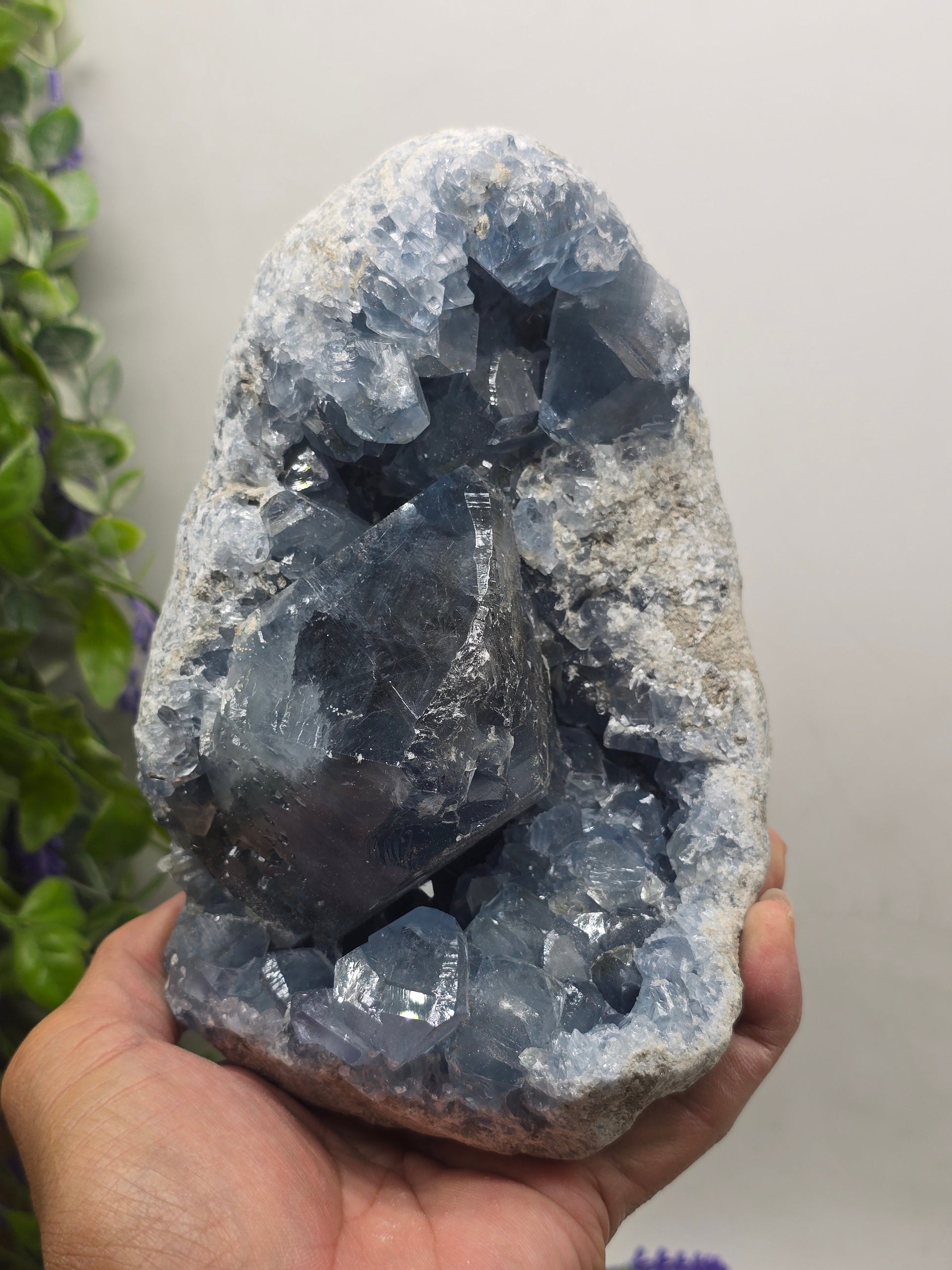 Celestite Geode Cluster 3kgs 19x14x10cm Premium Quality (Stone of Divine Peace & Angelic Connection) Crystal Wellness