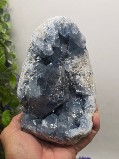 Celestite Geode Cluster 3kgs 19x14x10cm Premium Quality (Stone of Divine Peace & Angelic Connection) Crystal Wellness