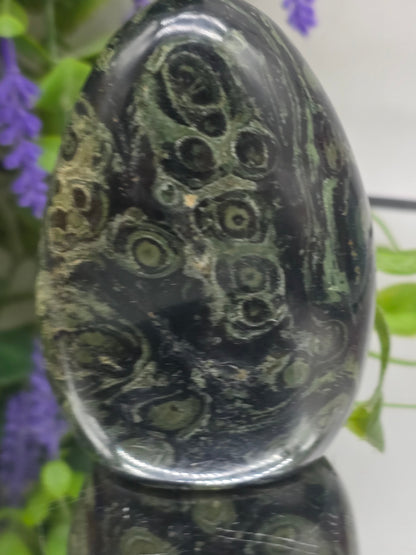 Premium Kambaba Jasper Freeform – Stone of Peace, Tranquility & Ancient Wisdom Crystal Wellness