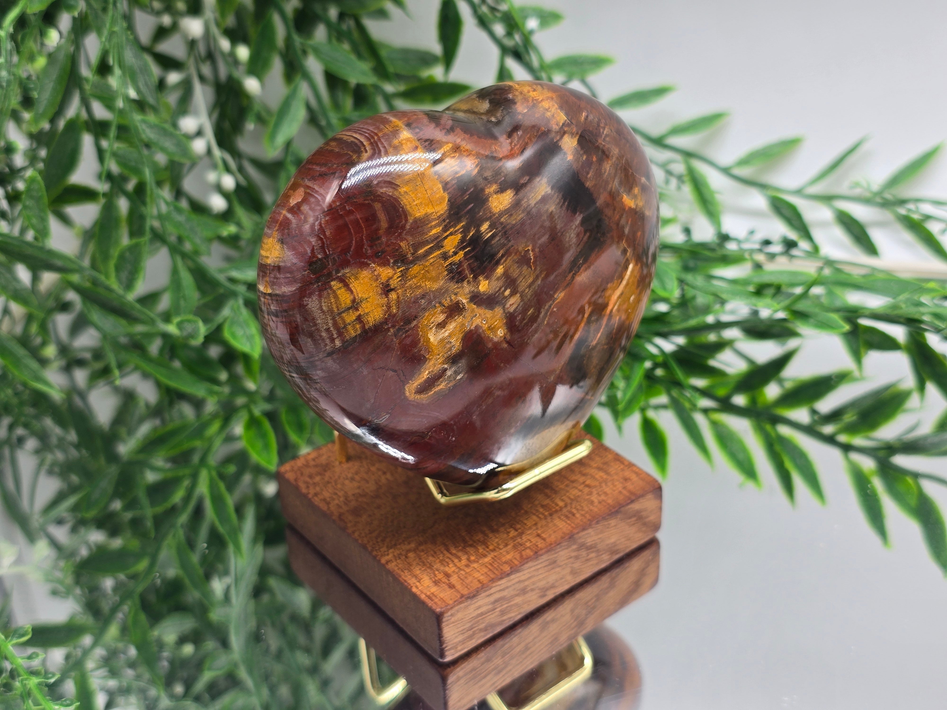 Premium Grade Madagascar Petrified Wood Heart – Stone of Stability and Enduring Success | 481g (Stand Included) Crystal Wellness