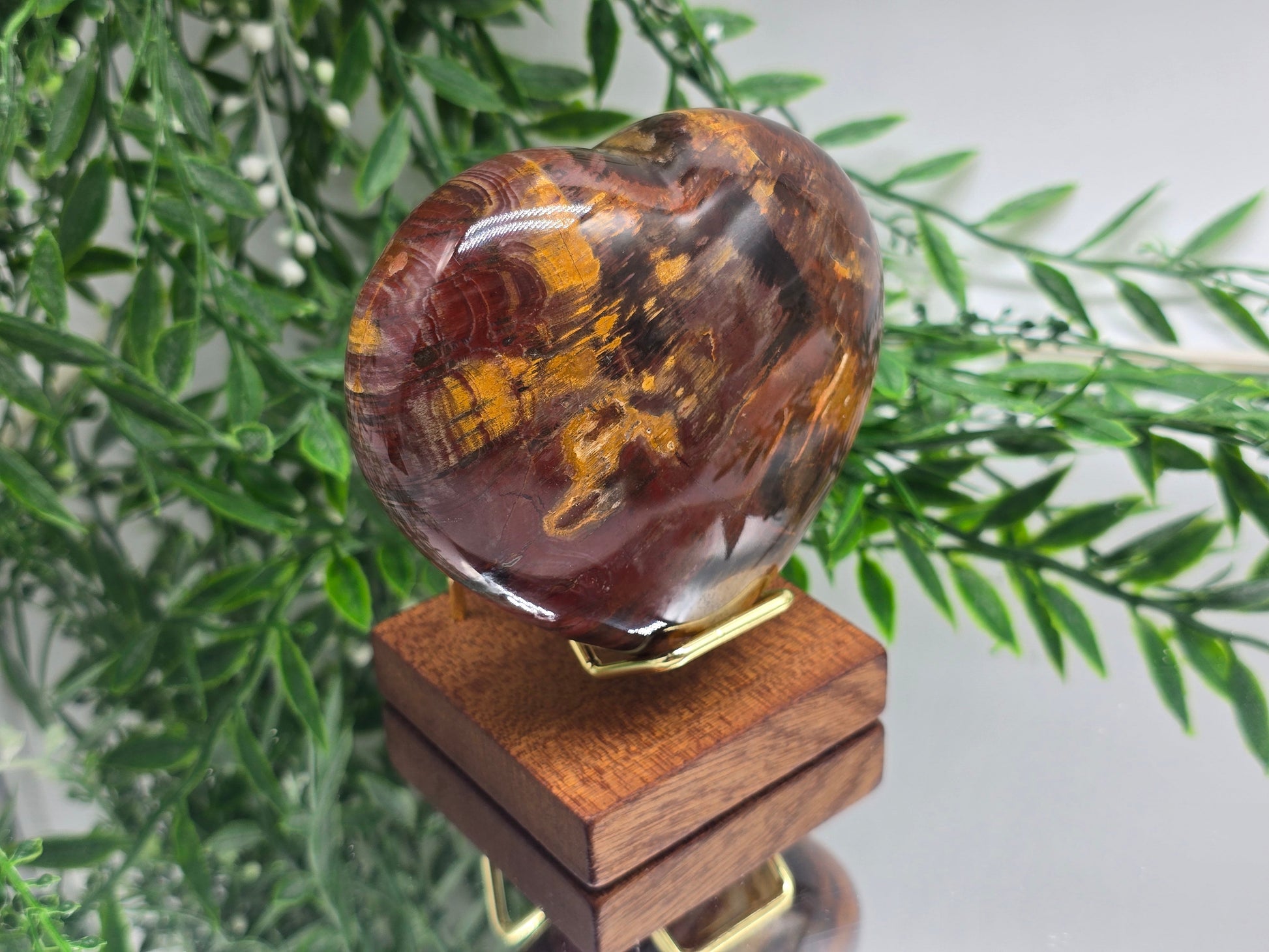 Premium Grade Madagascar Petrified Wood Heart – Stone of Stability and Enduring Success | 481g (Stand Included) Crystal Wellness
