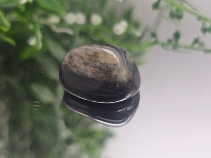 Isua Stone Polished Tumble (Stone of Ancient Earth Wisdom) Crystal Wellness
