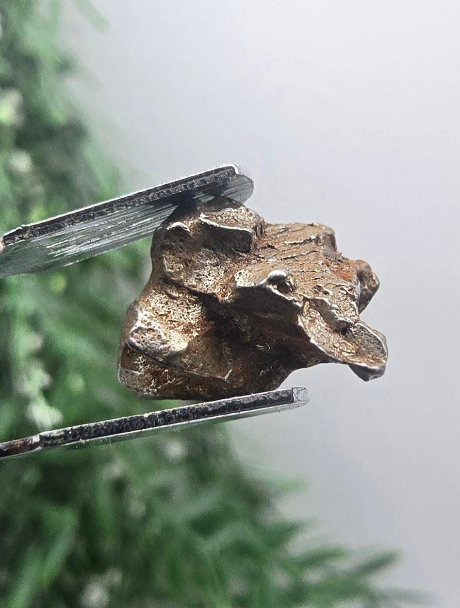 ✨ Sikhote-Alin Iron Meteorite – 3g | Cosmic Strength & Protection Crystal Wellness