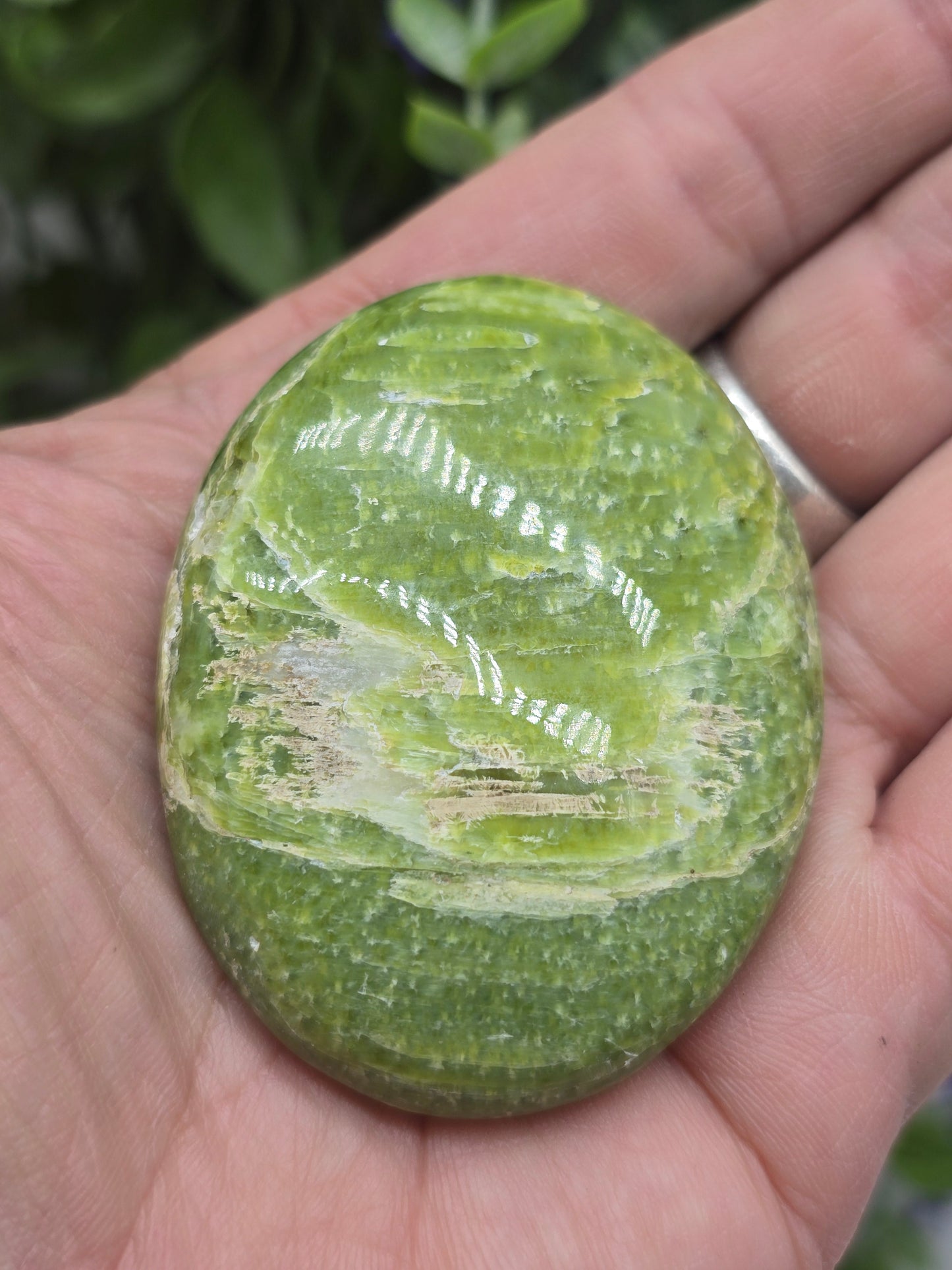 Tremolite Palm Stone – Stone of Healing, Renewal & Heart Chakra Crystal Wellness