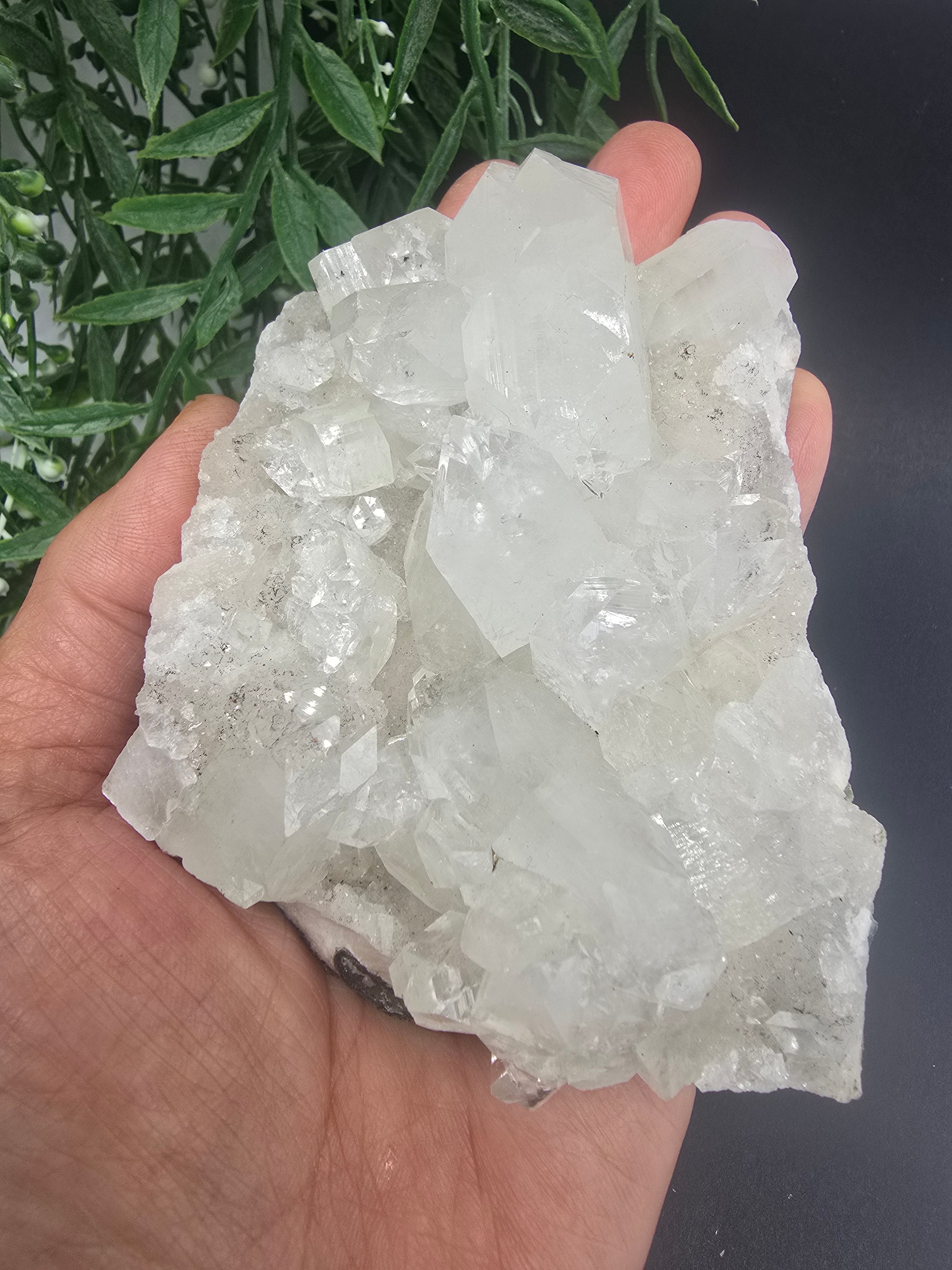 Apophyllite #7 Crystal Wellness