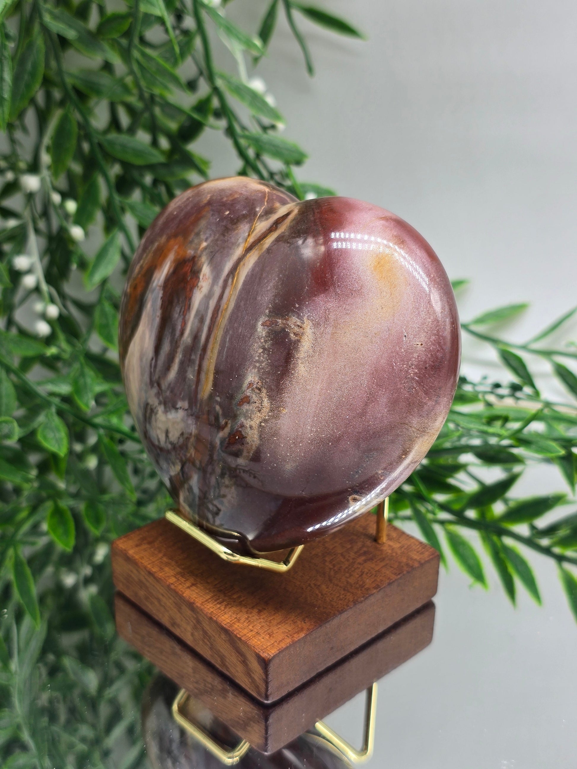 Petrified Wood Heart – Madagascar | 615g (Stand Included) Crystal Wellness