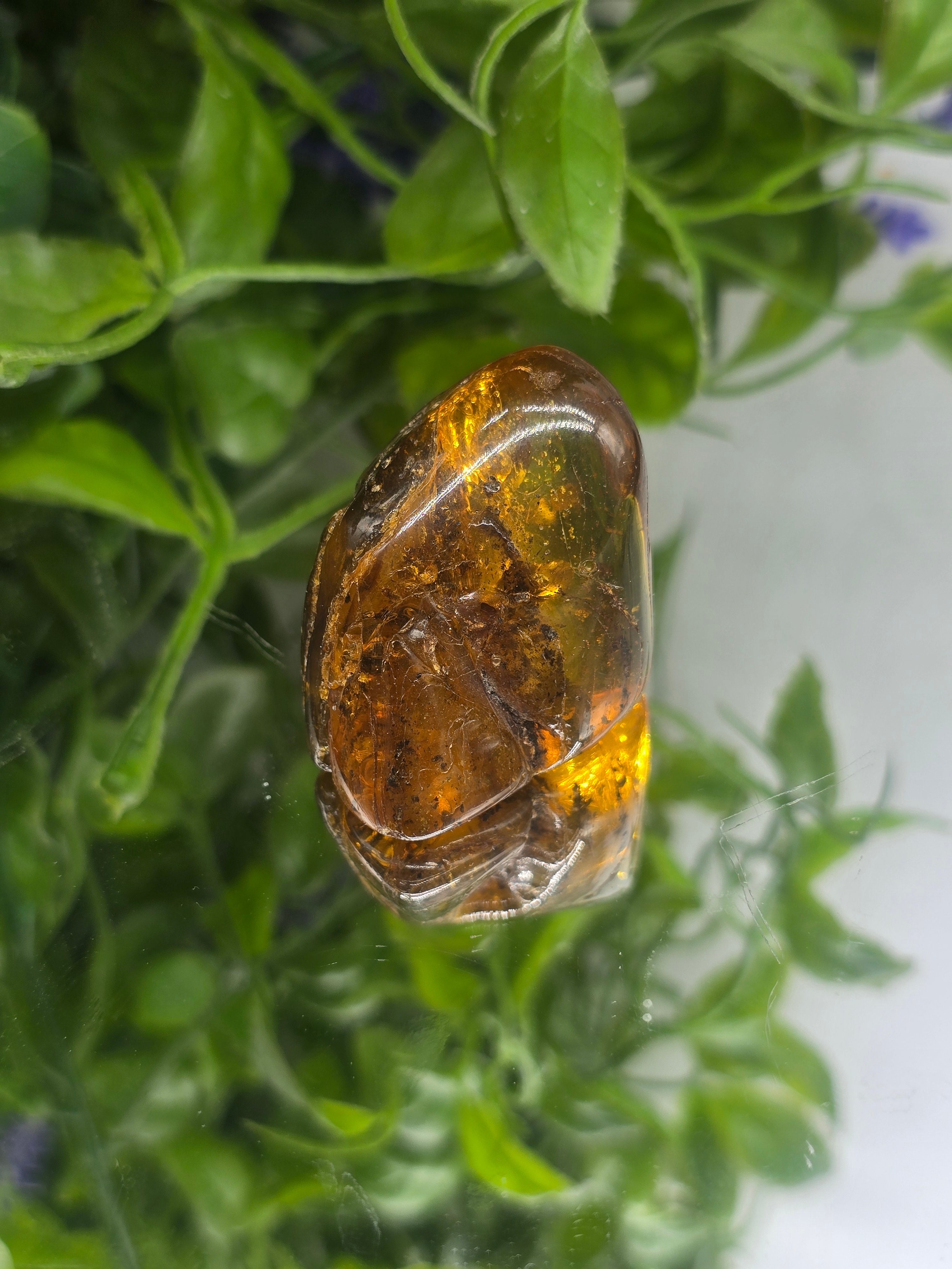 Baltic Amber Polished 16.60g Crystal Wellness