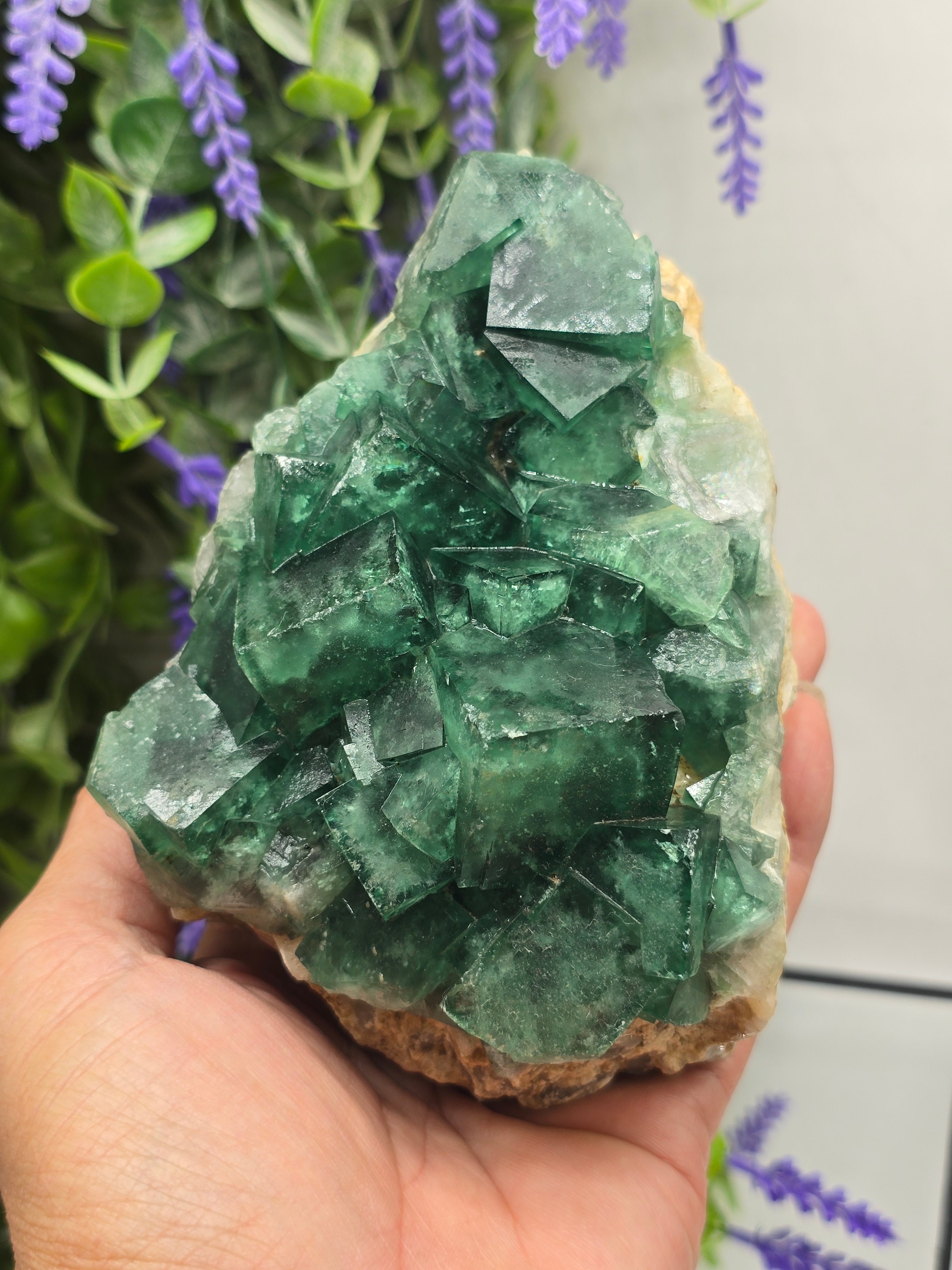 Natural Green Fluorite Cluster — Madagascar (Stone of Clarity & Renewal) Crystal Wellness