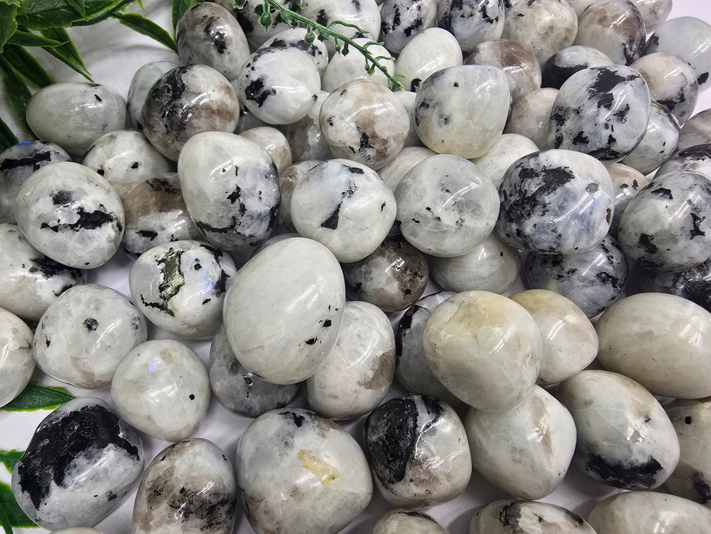 Moonstone Tumbled Stone Crystal Wellness