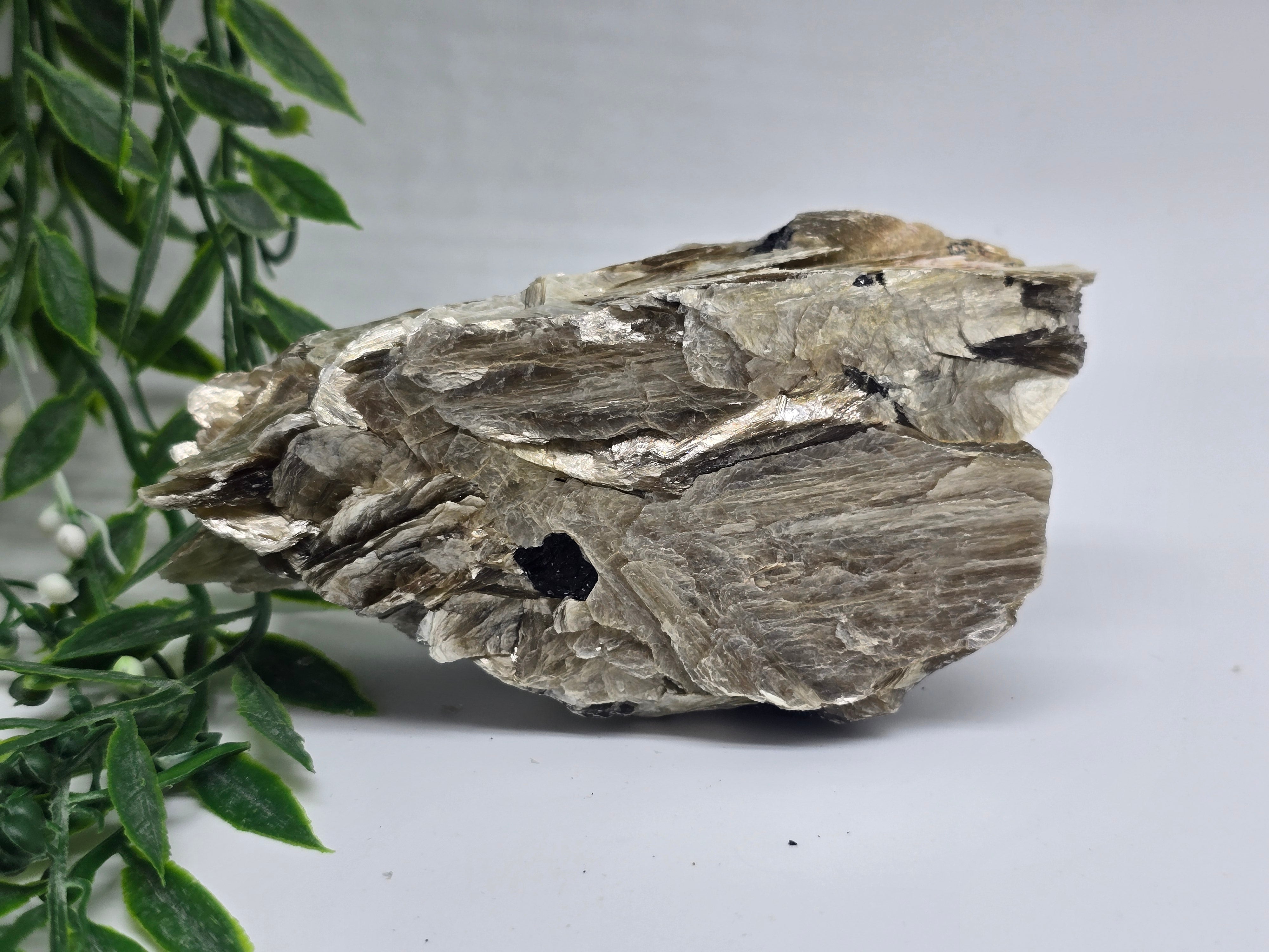 Rare Mica with Black Tourmaline – 13x7x4cm | 0.4kg Crystal Wellness