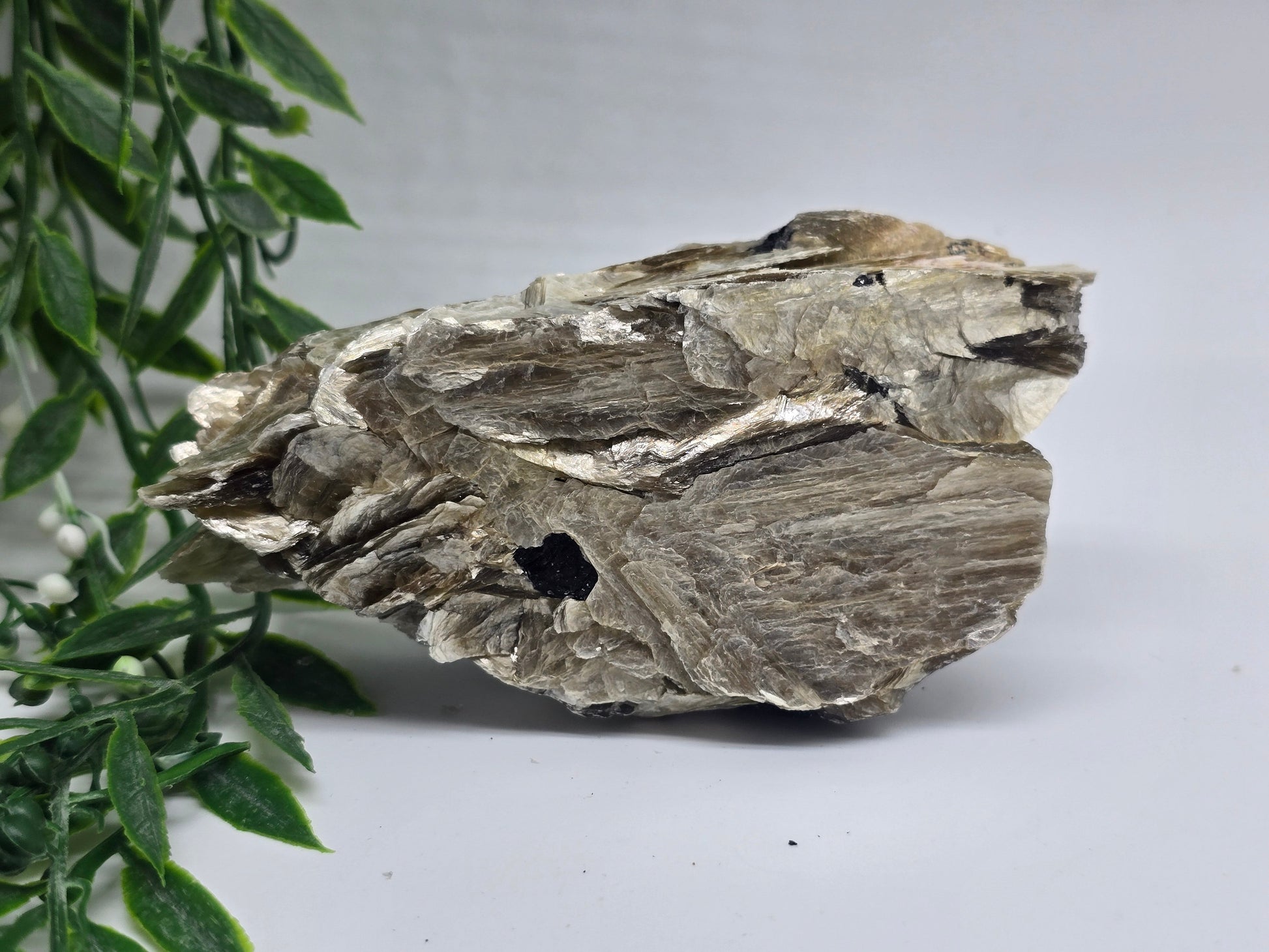 Rare Mica with Black Tourmaline – 13x7x4cm | 0.4kg Crystal Wellness