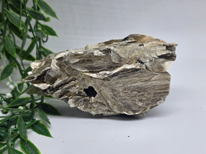 Rare Mica with Black Tourmaline – 13x7x4cm | 0.4kg Crystal Wellness