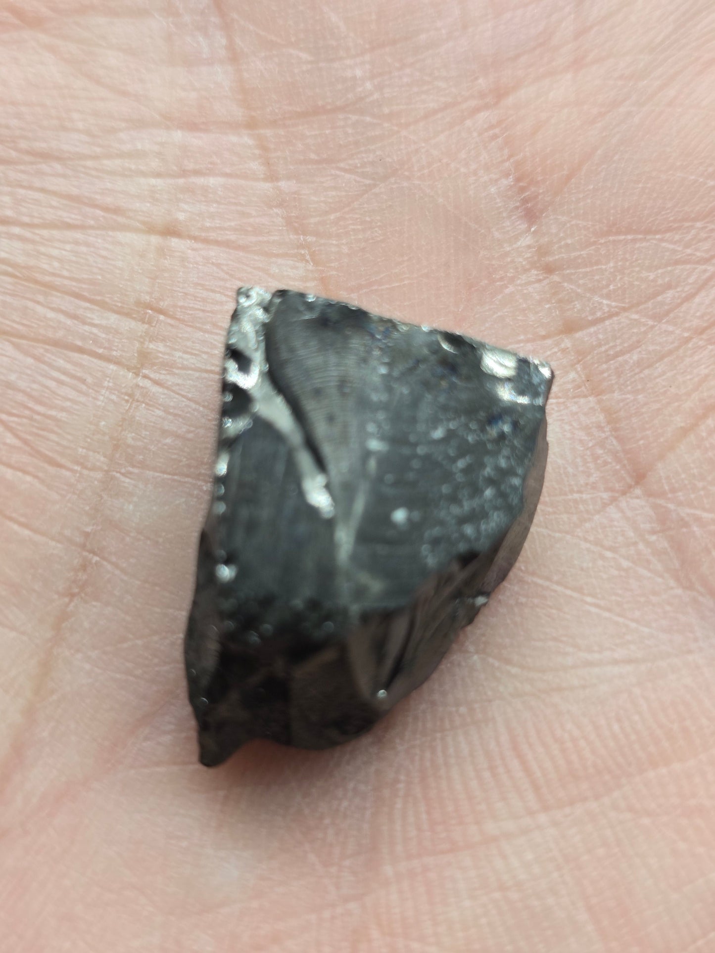 Elite Noble Shungite – Natural Raw Stones | Karelia, Russia Crystal Wellness