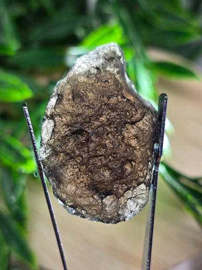 High-Grade Agni Manitite Raw Tektite | Hand Picked Cosmic Transformation Stone | 12.75g Crystal Wellness