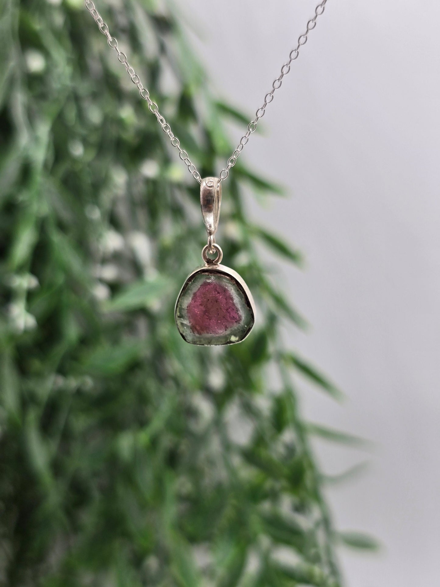 Rare Natural Watermelon Tourmaline 925 Silver Pendant - Chain Included (Stone of Heart Harmony) Crystal Wellness