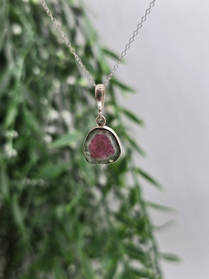 Rare Natural Watermelon Tourmaline 925 Silver Pendant - Chain Included (Stone of Heart Harmony) Crystal Wellness