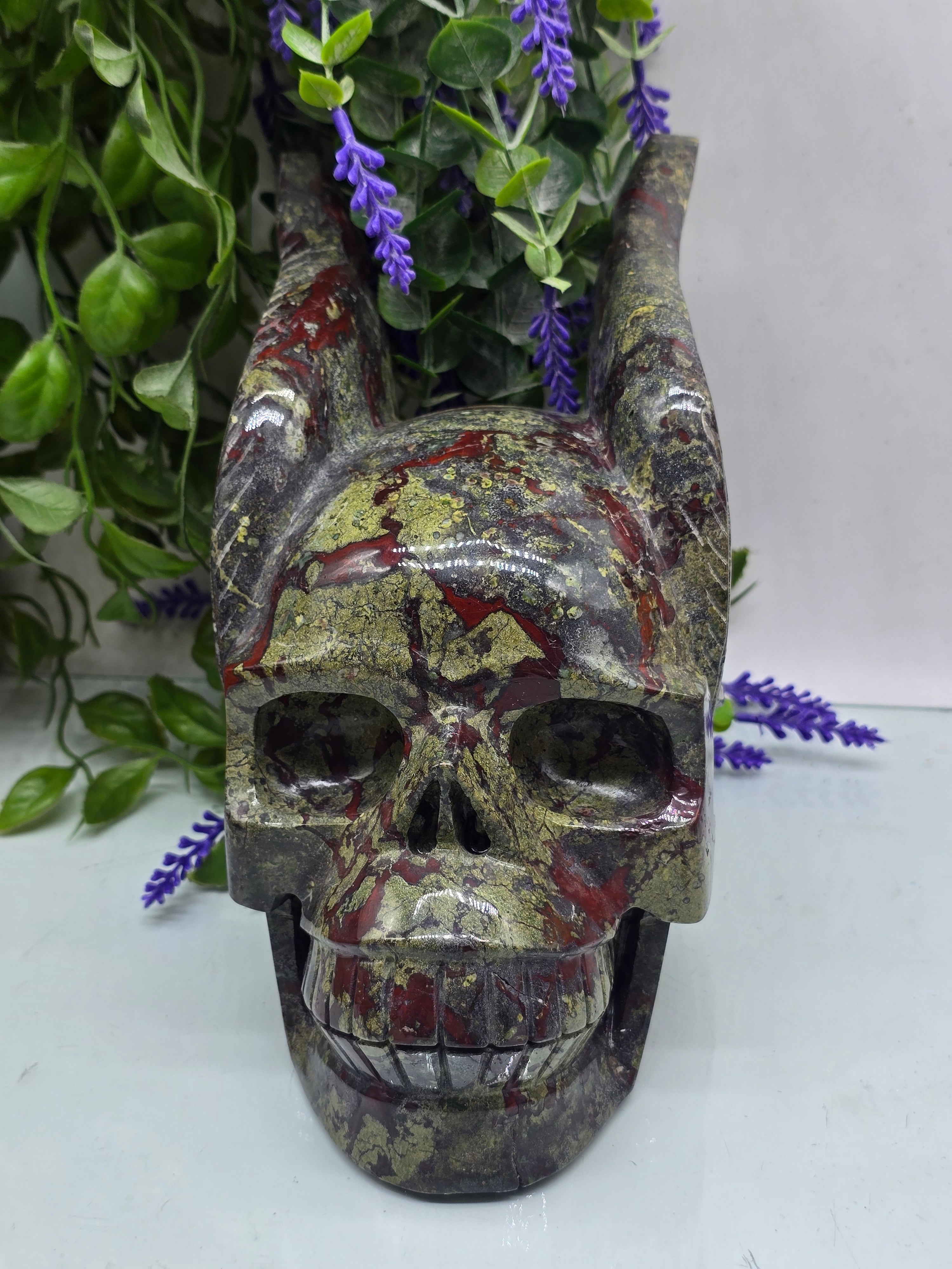 Dragon Blood Skull with Wings LARGE 5.843 Kg Crystal Wellness