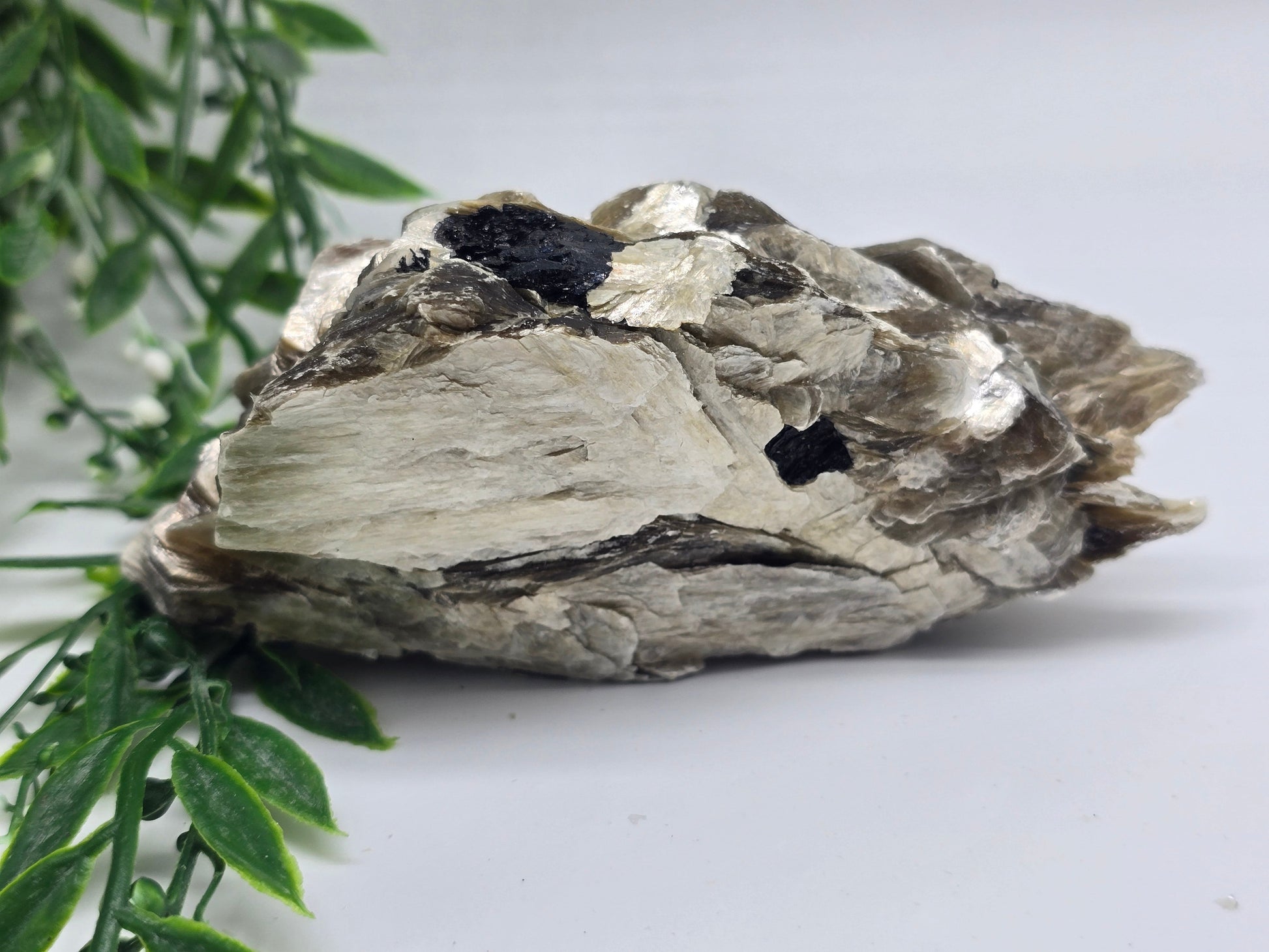 Rare Mica with Black Tourmaline – 13x7x4cm | 0.4kg Crystal Wellness