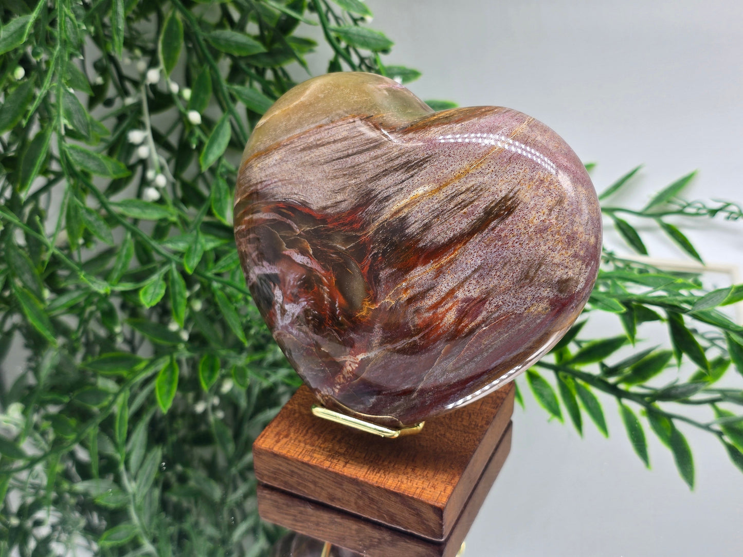 Premium Grade Madagascar Petrified Wood Heart – Stone of Stability and Enduring Success | 700g Crystal Wellness