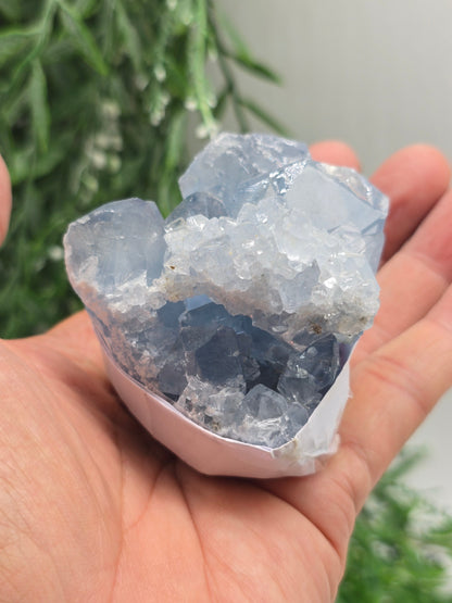 Natural Celestite Cluster – Madagascar | Angelic Communication, Peace & Spiritual Connection Crystal Wellness