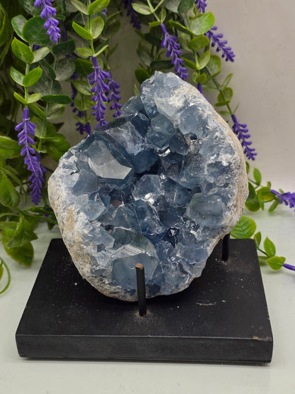 Celestite Geode High Grade – Stone of Divine Peace, Angelic Connection & Inner Harmony | 1.8kgs Crystal Wellness