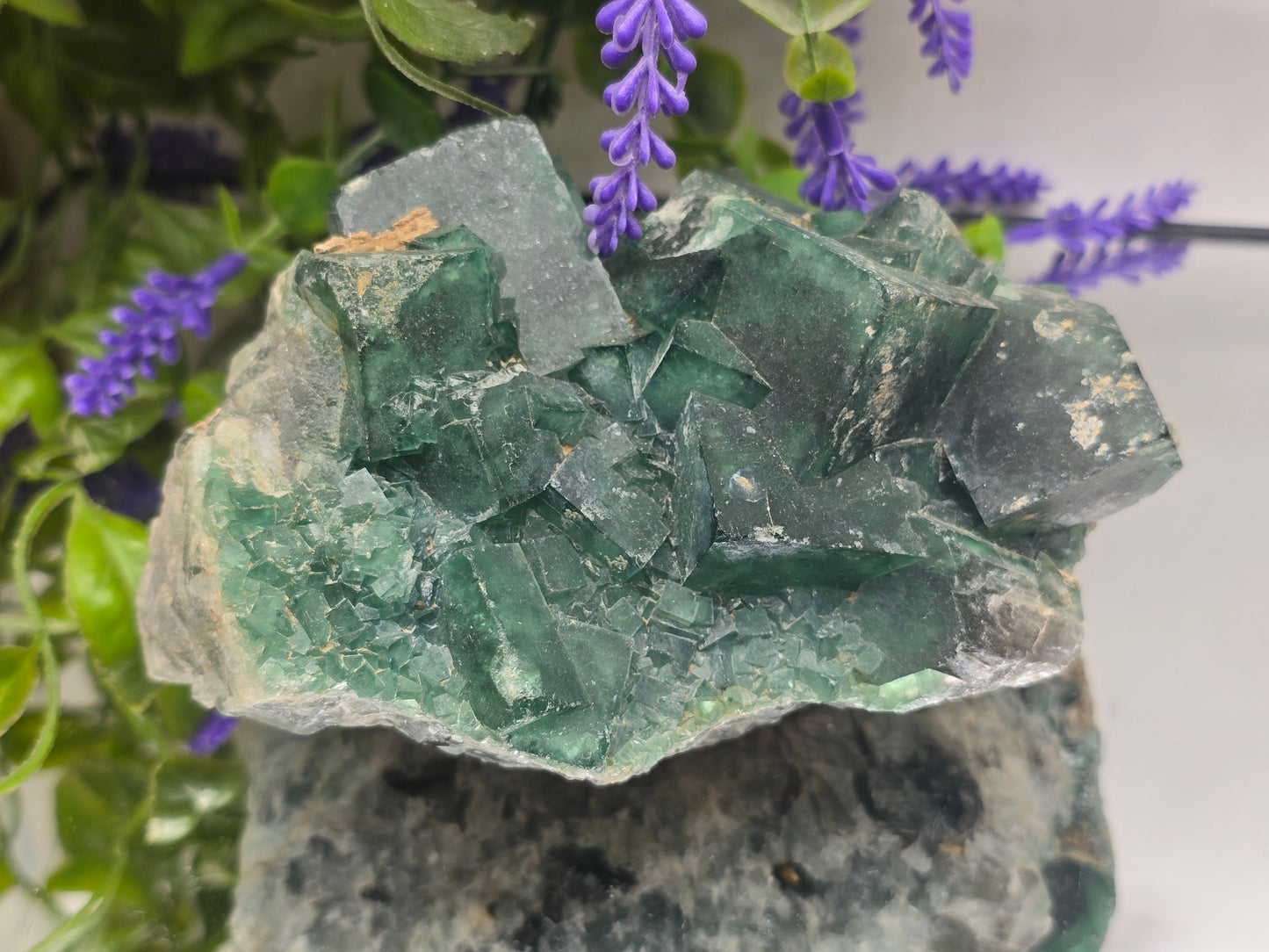 Natural Green Fluorite Cluster — Madagascar (Stone of Clarity & Renewal) Crystal Wellness