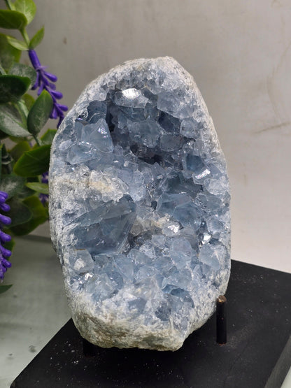 Celestite Geode (Madagascar) – Premium Quality | Serenity • Divine Connection • Inner Peace Crystal Wellness